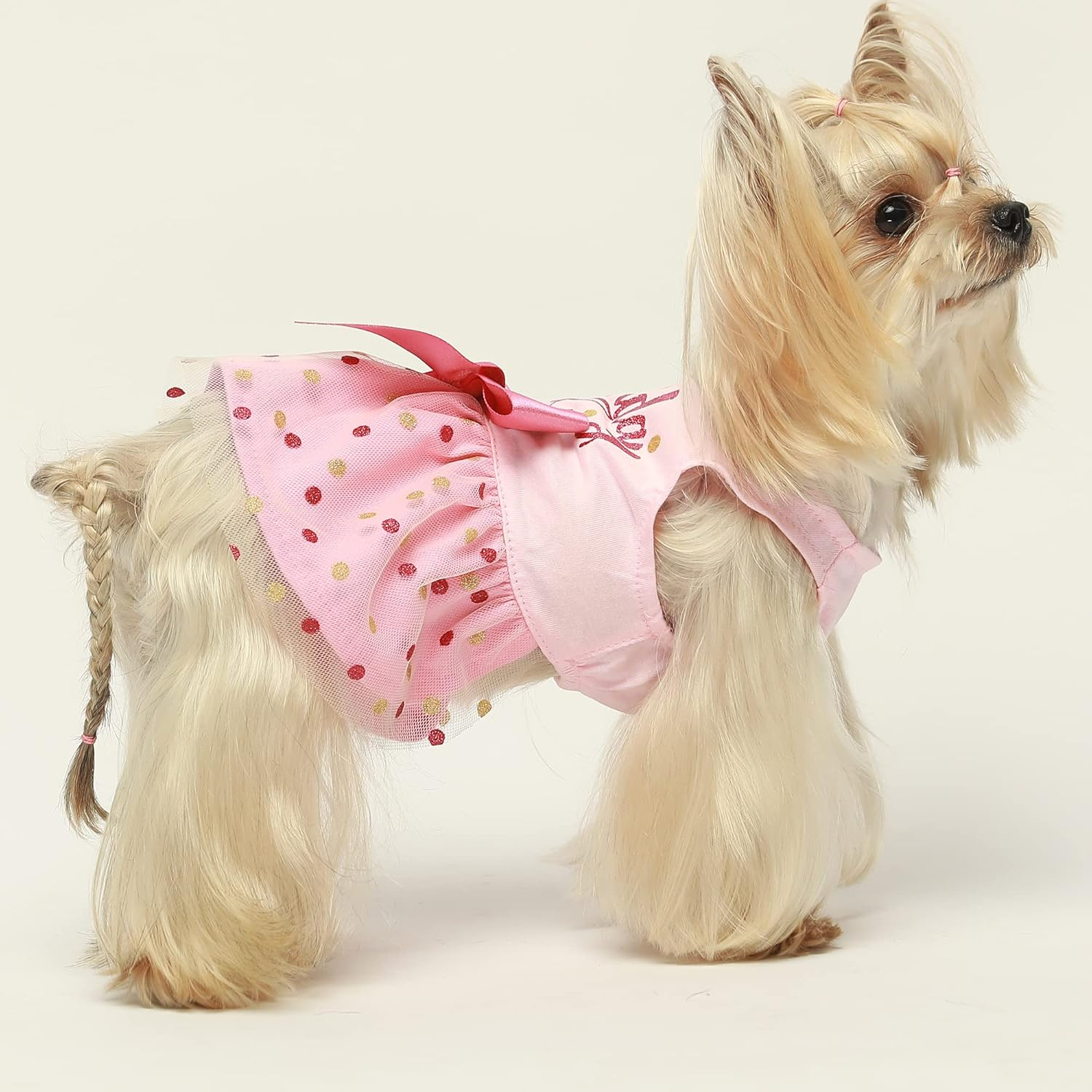 Fitwarm Birthday Girl Dog Tulle Dress, Dog Clothes for Small Dogs Girl, Cat Apparel, Pink, Large