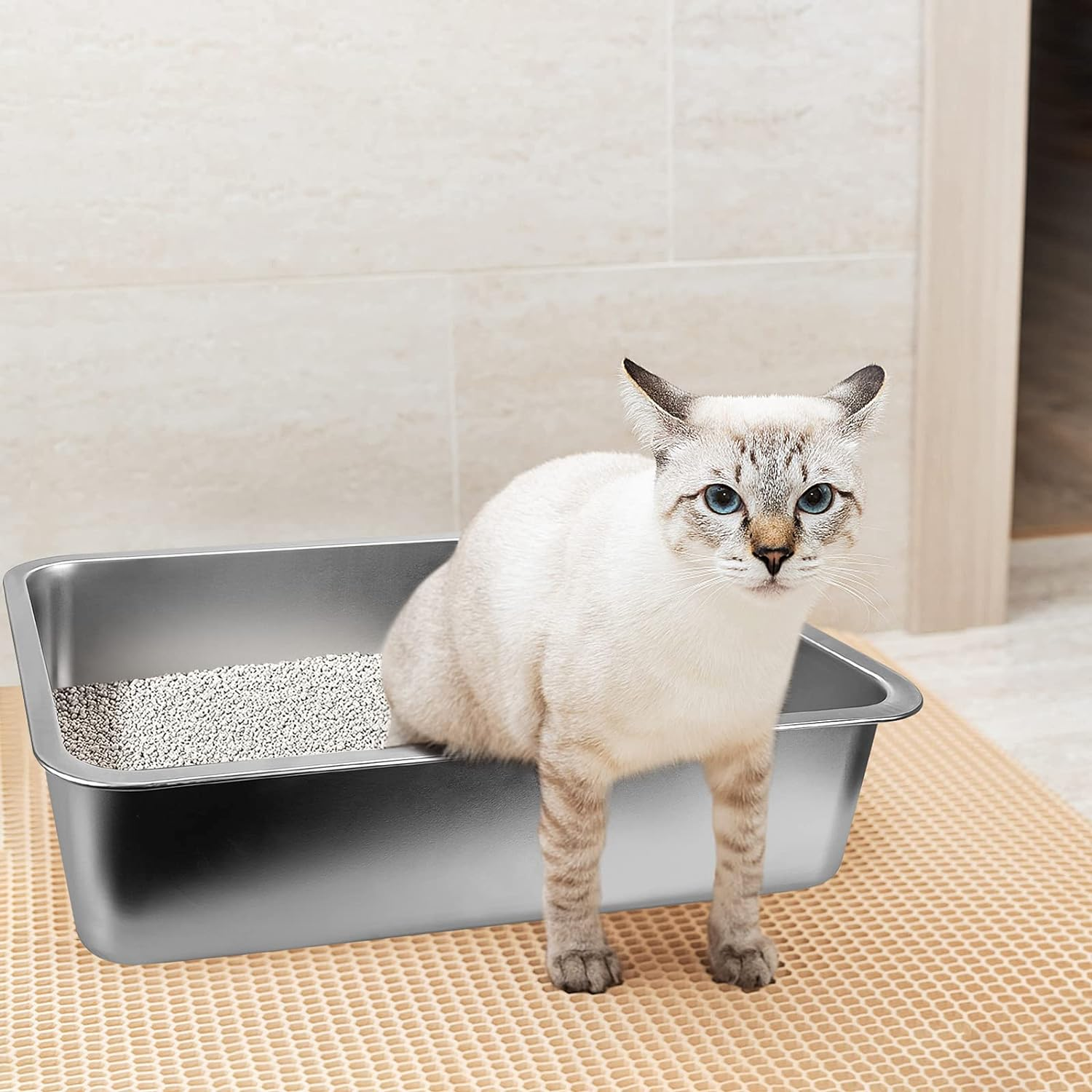Stainless Steel Cats Litter Box, 4" Height Litter Box for Small Animals, Easy Entry, Easy to Clean, Non Stick Smooth Surface image number 5
