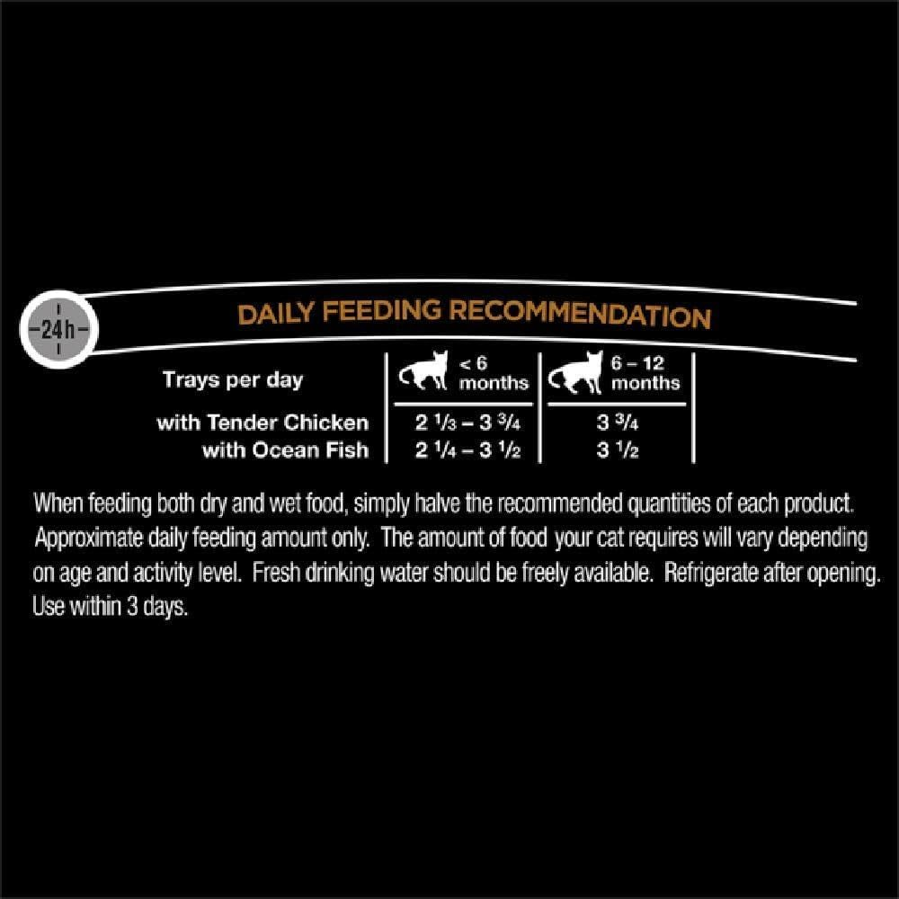 Dine Classic Collection Kitten Chicken with Ocean Fish Wet Cat Food 85 G (Pack of 28) image number 2