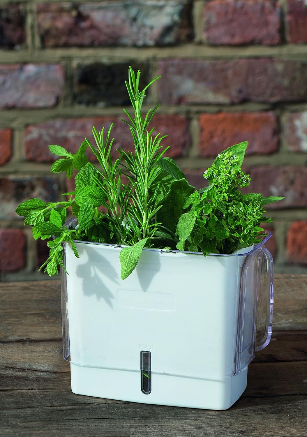 Cole & Mason 31401 Herb Keeper, White image number 5