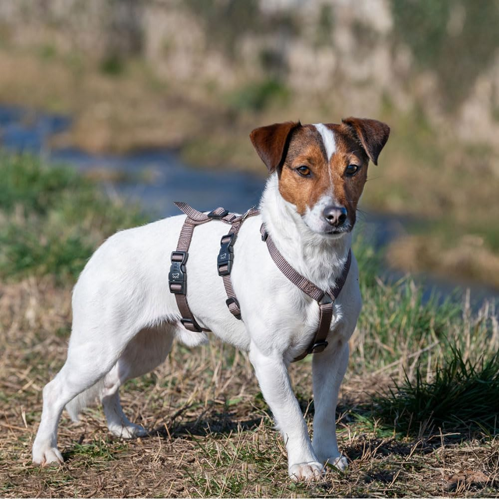 Ferplast Dog Harness Small Dog Brave Small, Escape Proof Dog Harness, Greyhound, Adjustable Harness for Dogs, 6 Closures, Marrone image number 3