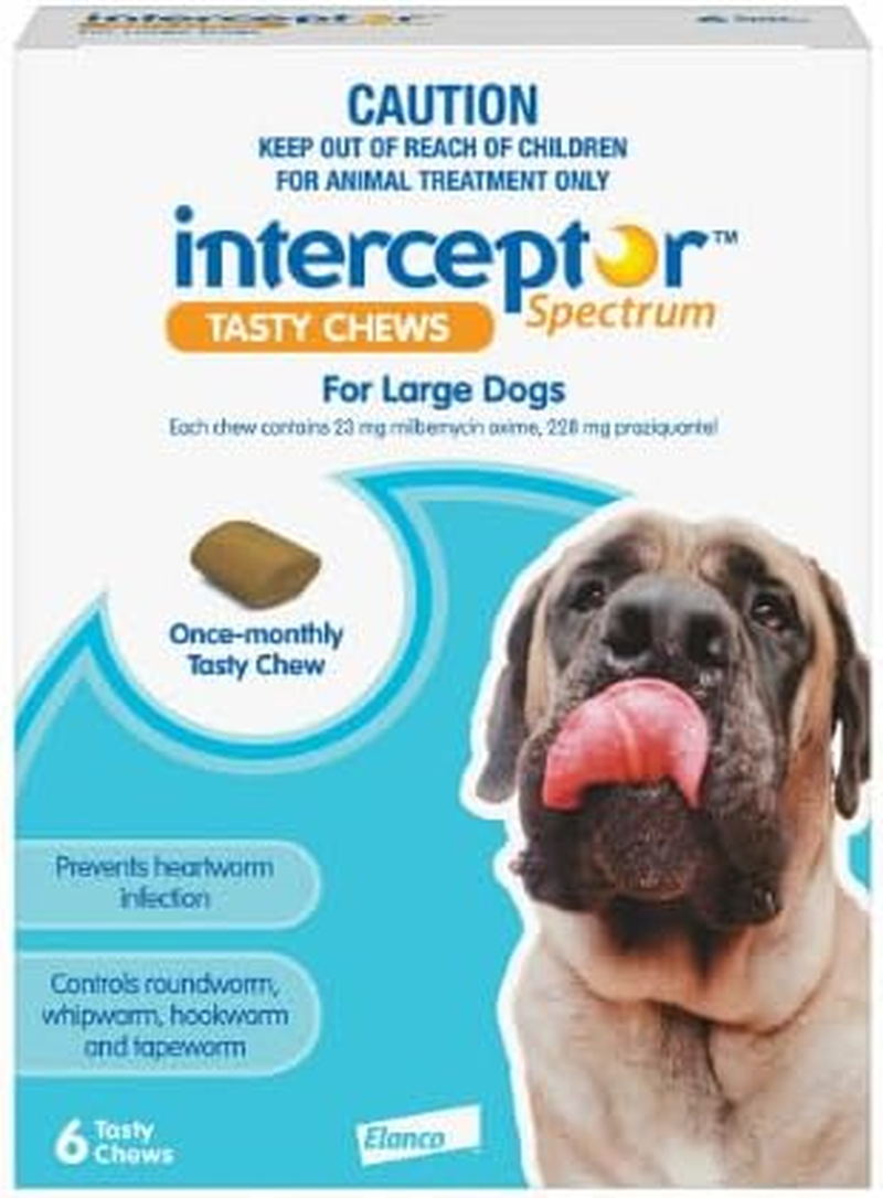 Interceptor Spectrum Tasty Chews for Large Dogs 22 to 45Kg Blue 6 Chews