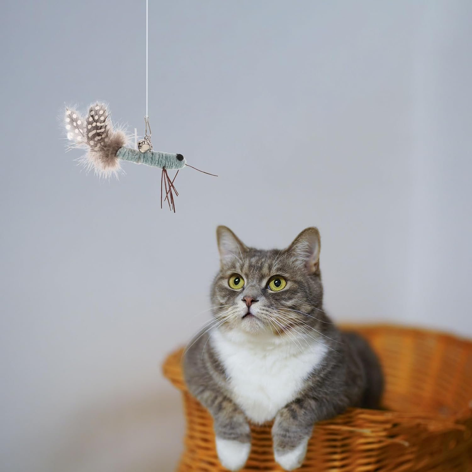 Kisangel 2Pcs Cat Teaser Replacement Heads Toys, Cat Insect Dragonfly Heads for Kitten Indoor Toys Attachment Plaything - Coffee image number 3