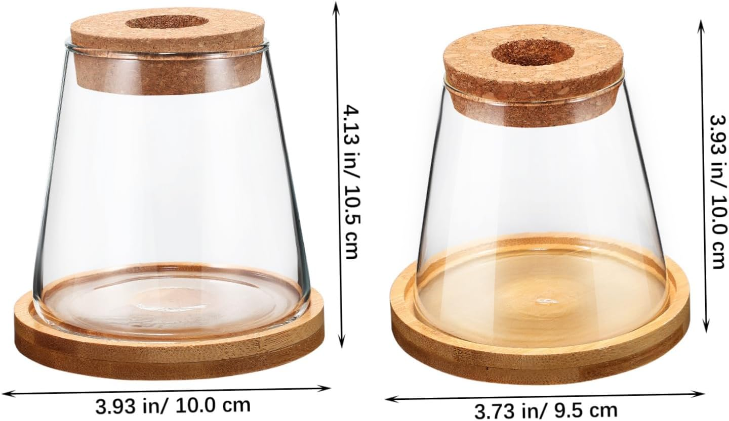 COHEALI 2Pcs Clear Glass Propagation Station with Base Transparent Water Planter Bottles for Hydroponic Plants Compact Vases for Indoor Desk Apartment Office Decoration image number 1