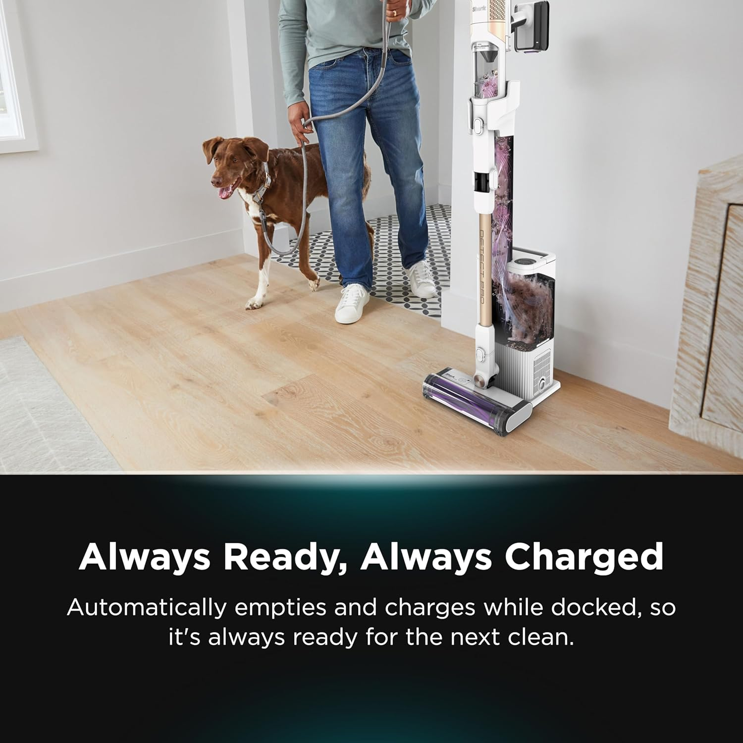 Shark Detect Pro Cordless Vacuum Cleaner with 2L Auto-Empty System, Ultra-Lightweight & Flexible anti Hair Wrap with Pet & Duster-Crevice Tools, 60 Mins Run-Time, Dock, IW3611ANZ, Colour: White/Brass