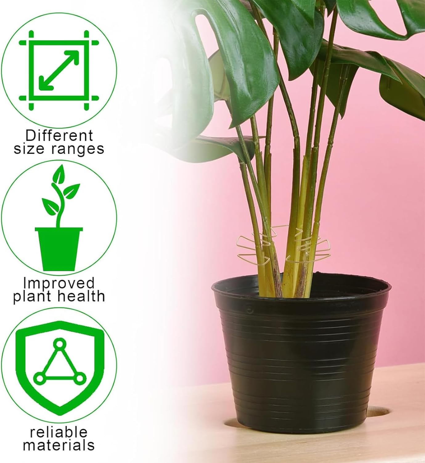 Zalizr 5 PCS Plant Stem Support, Metal Monstera Stabilizer Grapple Holder, Durable Turtle Shell Bamboo Support for Healthy Growth, Easy-To-Use Wear-Resistant Plant Stabilizer (Gold, 16X18 CM) image number 4