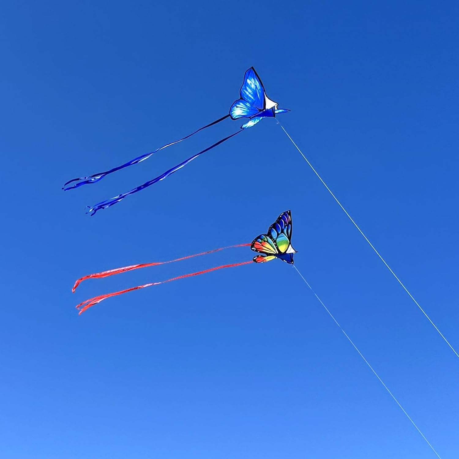 Simxkai Butterfly Kite for Kids & Adults, Easy to Fly Blue Big Kite for Beginners, 300Ft Line Handle Included (1Pack 2Pack) image number 1