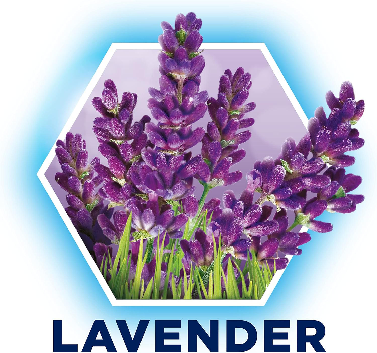 Domestos Power 5 Lavender Toilet Cage 55 G (Pack of 4)