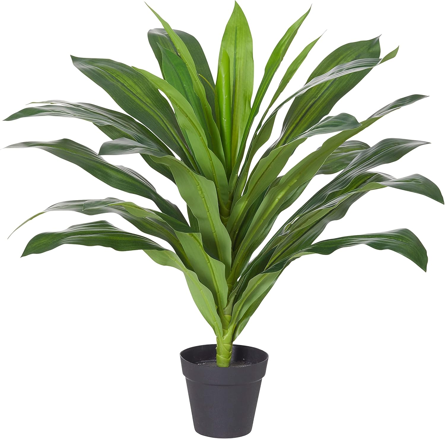 Rogue Dracaena-Garden Pot, Green/Black, 55 X 55 X 60 Cm