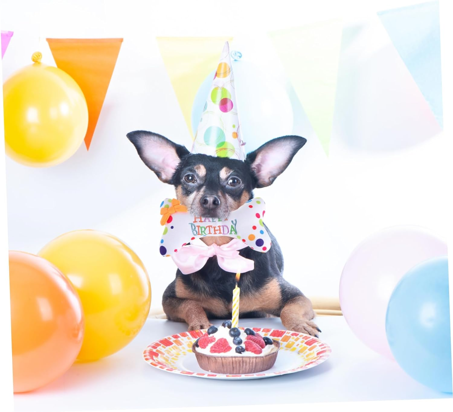 Hohopeti Dog Birthday Plush Toy Cute Party Supplies Squeaky Dog Toy for Chewing and Fun Present image number 2