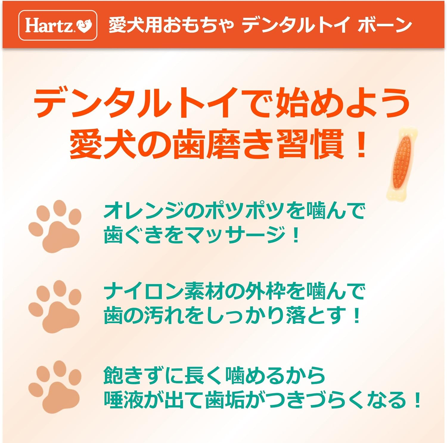 Dental Toy Bone Dog Toy Toothpaste Toy Medium X 2 Bacon Flavor | Hearts | Dental Care | Toothpaste image number 2