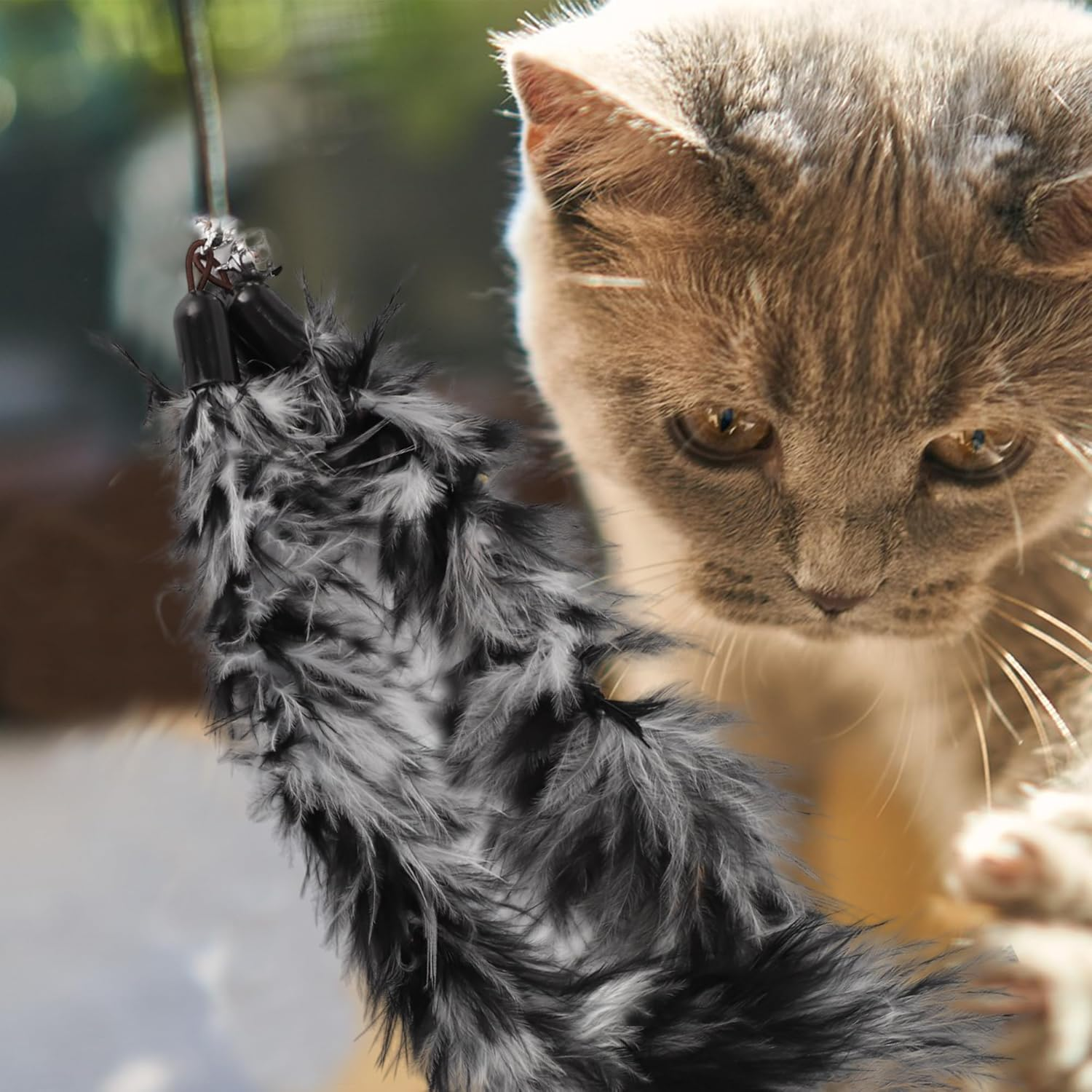 CAPASTEC Pack of 2 Feather Cat Wand Replacement for Pet Interactive, Grey/Black image number 2