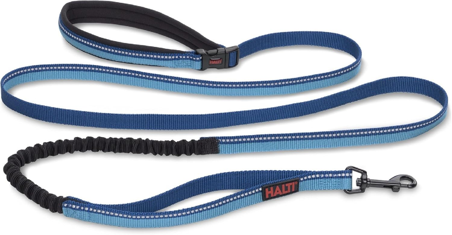 HALTI Active Lead - Award-Winning Bungee Dog Lead, Shock-Absorbing Anti-Pull Dog Leash, All-In-One Neoprene Padded Belt & Lead, Ideal for Running & Training with Medium & Large Dogs (Size L, Purple)