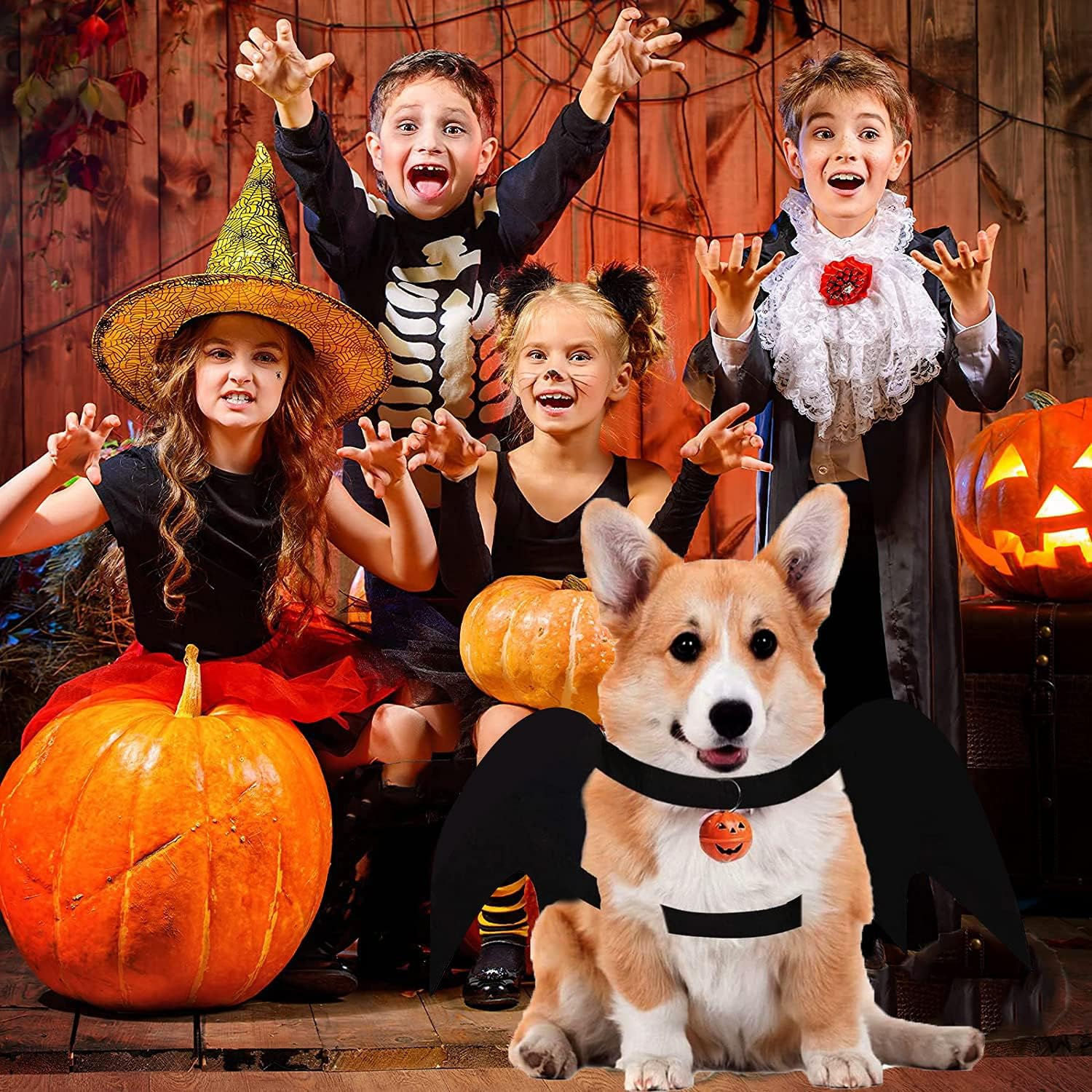 LKEX Dog Bat Wings, Pet Halloween Costume for Medium Large Dogs Funny Dog Clothes with Leads and Pumpkin Bells Puppy Dress up Halloween Decorations Apparel