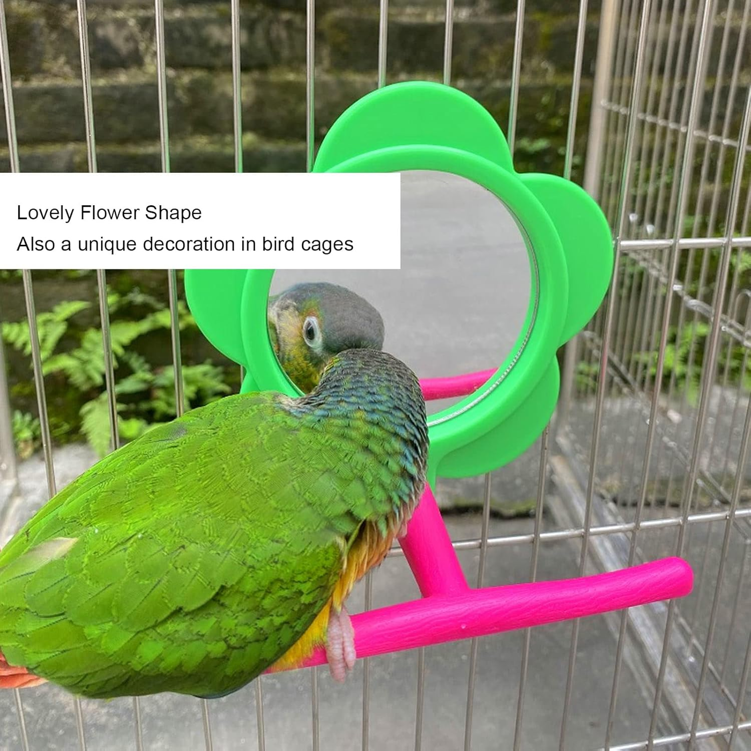 RASTKY Mirror Flower Shape Decorative Plastic Mirror Stand Toy Budgie Lovebird Cockatiel - Pet Supplies/Birds/Toys image number 5