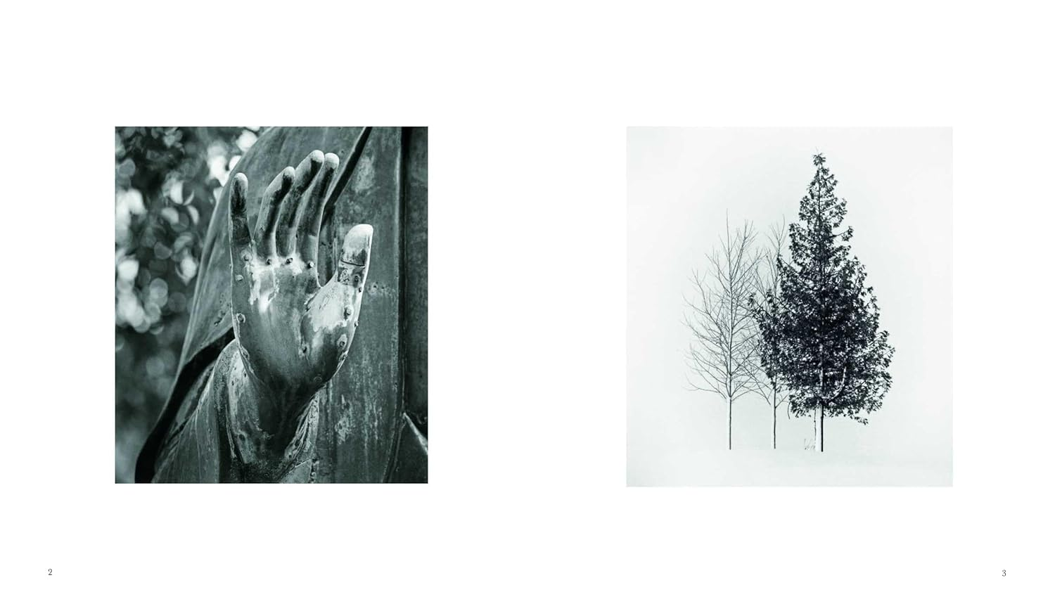 Ikigai: 43 Japanese Words to Live By image number 4