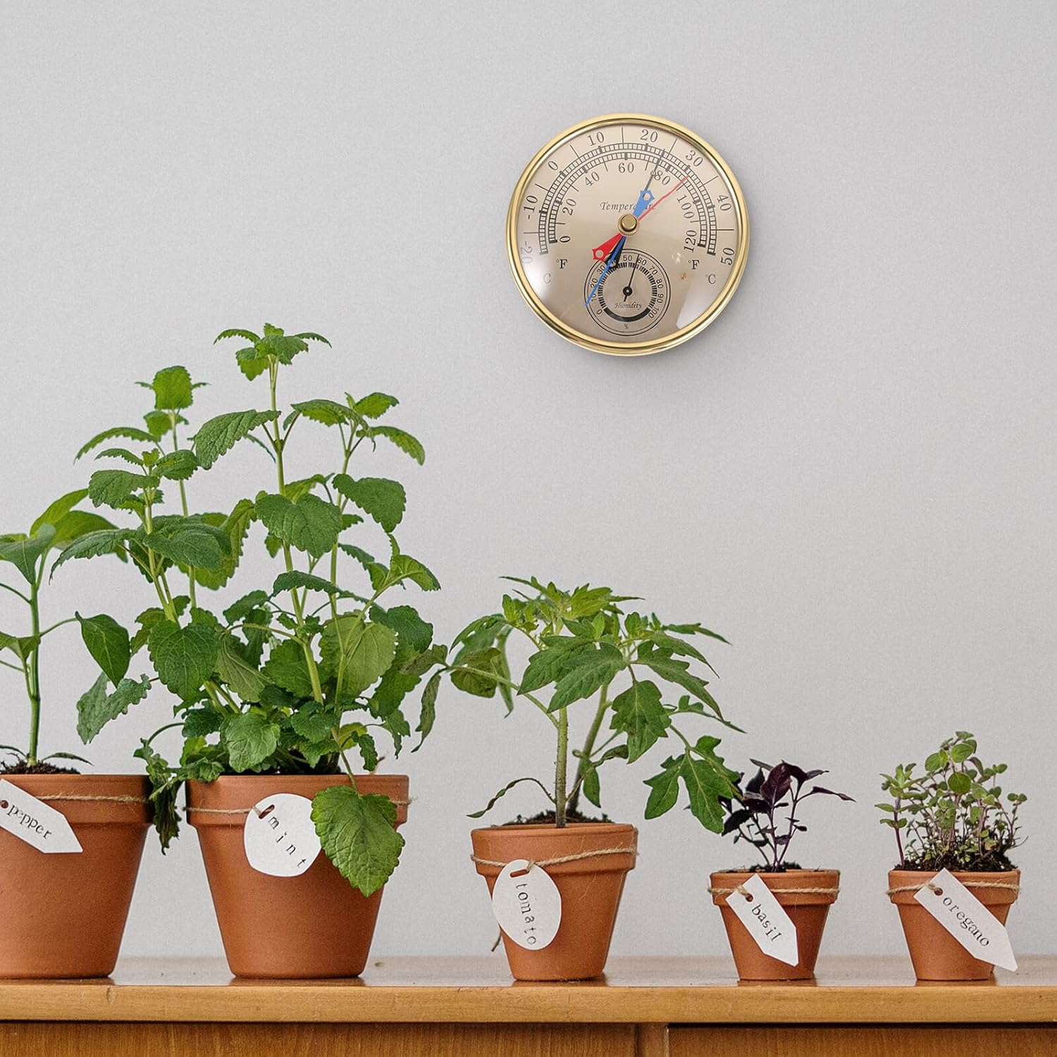 Yardenfun Multifunctional Indoor Outdoor Thermometer Hygrometer for Garden Patio Greenhouse Measures Maximum Minimum Temperature and Humidity Glass Plastic Wall-Mount Weather Gauge image number 5