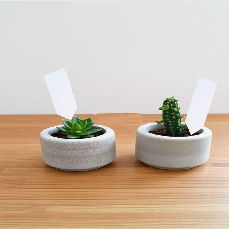 Limcryspp 100-Piece Plastic Plant Label Outdoor Waterproof Garden Marking Plate with Marker Pen, Suitable for Classification Nameplates of Herbaceous, Vegetable and Flower Cultivation image number 3