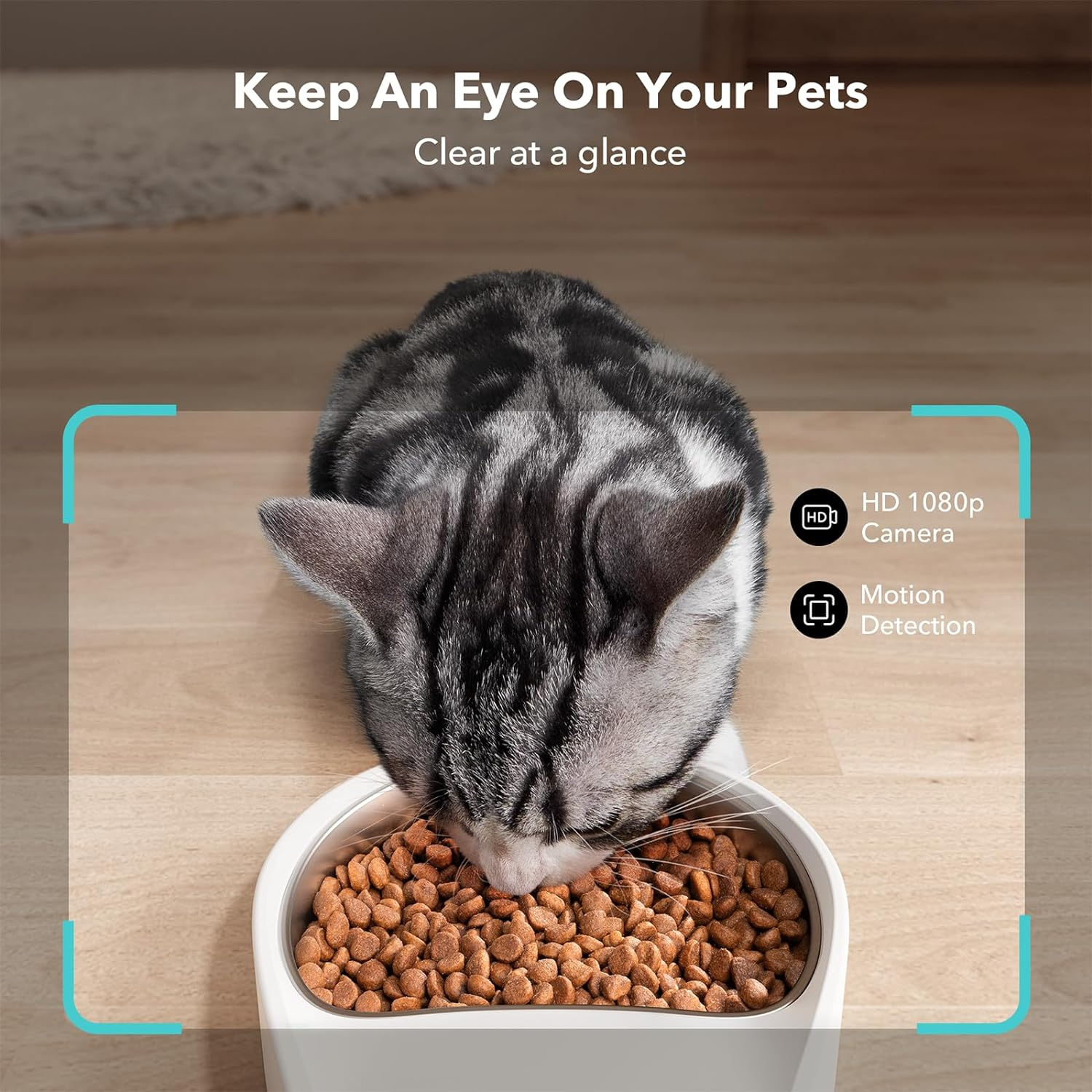 PETLIBRO Automatic Cat Feeder with Camera, 1080P HD Live Monitoring, Remote App Control with 5 Ghz Wi-Fi, Two-Way Audio Interaction, AI Motion Detection, Meal Scene Capture, Feeding Log Record image number 2