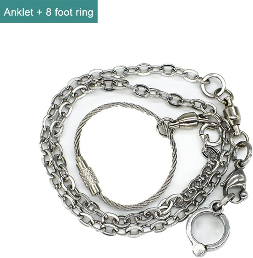 Parrot Foot Flying Chain | Stainless Steel Parrot Ankle | Bird Chain Tiger Skin Starling Peony Cockatiel Stand Open Foot Buckle Safe for Bird'S Legs image number 1