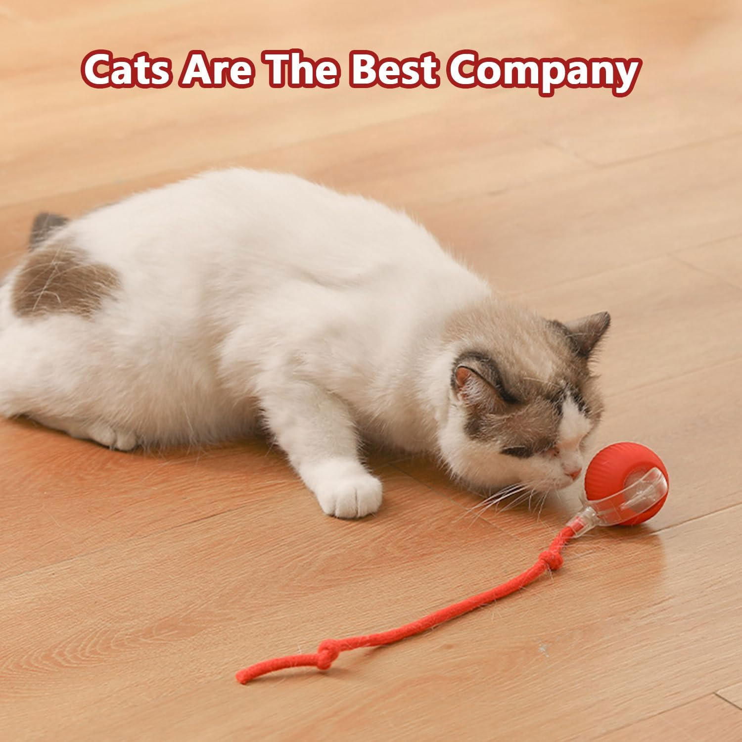 TKINRIC 3PCS New Interactive Rolling Cat Toy Ball,Interactive Cat Ball Toys for Indoor,360&deg; Smart Automatic Rolling Electric Dog Ball with USB Rechargeable(Red & Green & Gray) image number 6