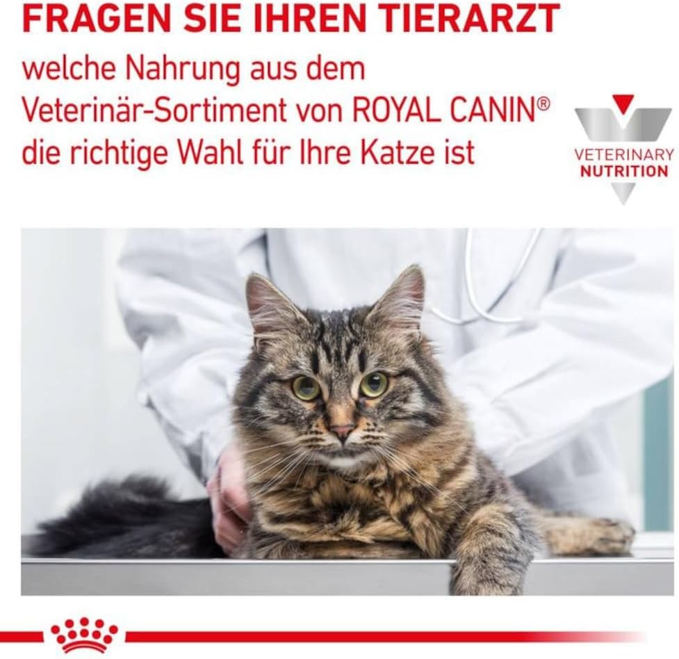 Royal Canin Feline Renal Special 2Kg image number 5