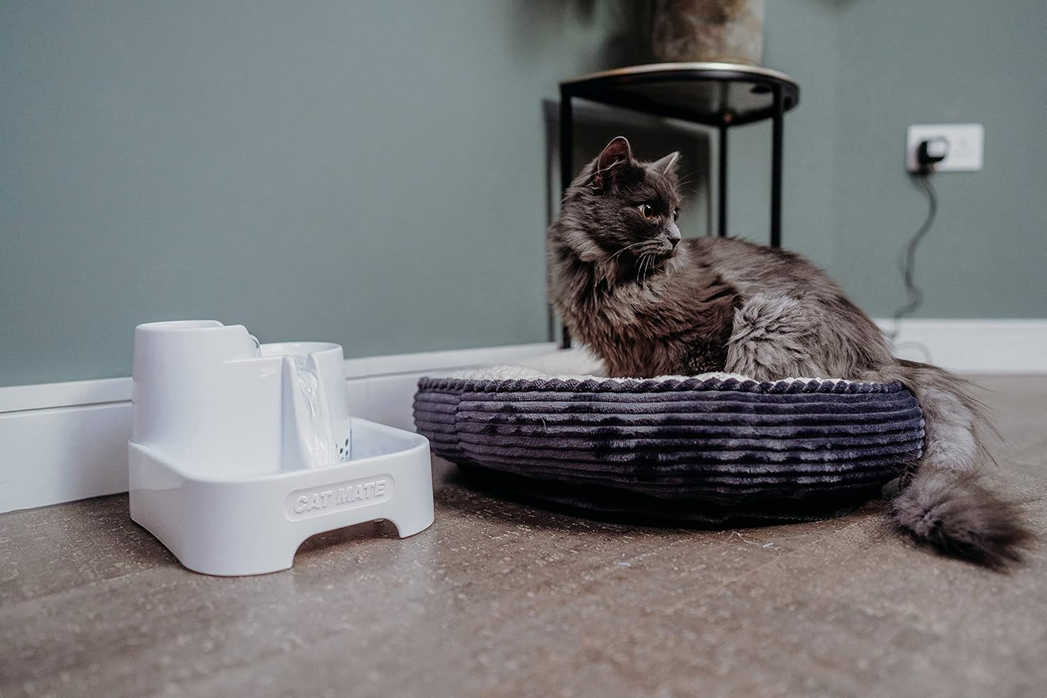 Cat Mate Multi-Level Pet Water Fountain (335) - for Cats & Small Dogs, Quiet and Hygienic Drinking Fountain, 2 Litre Capacity, White image number 4