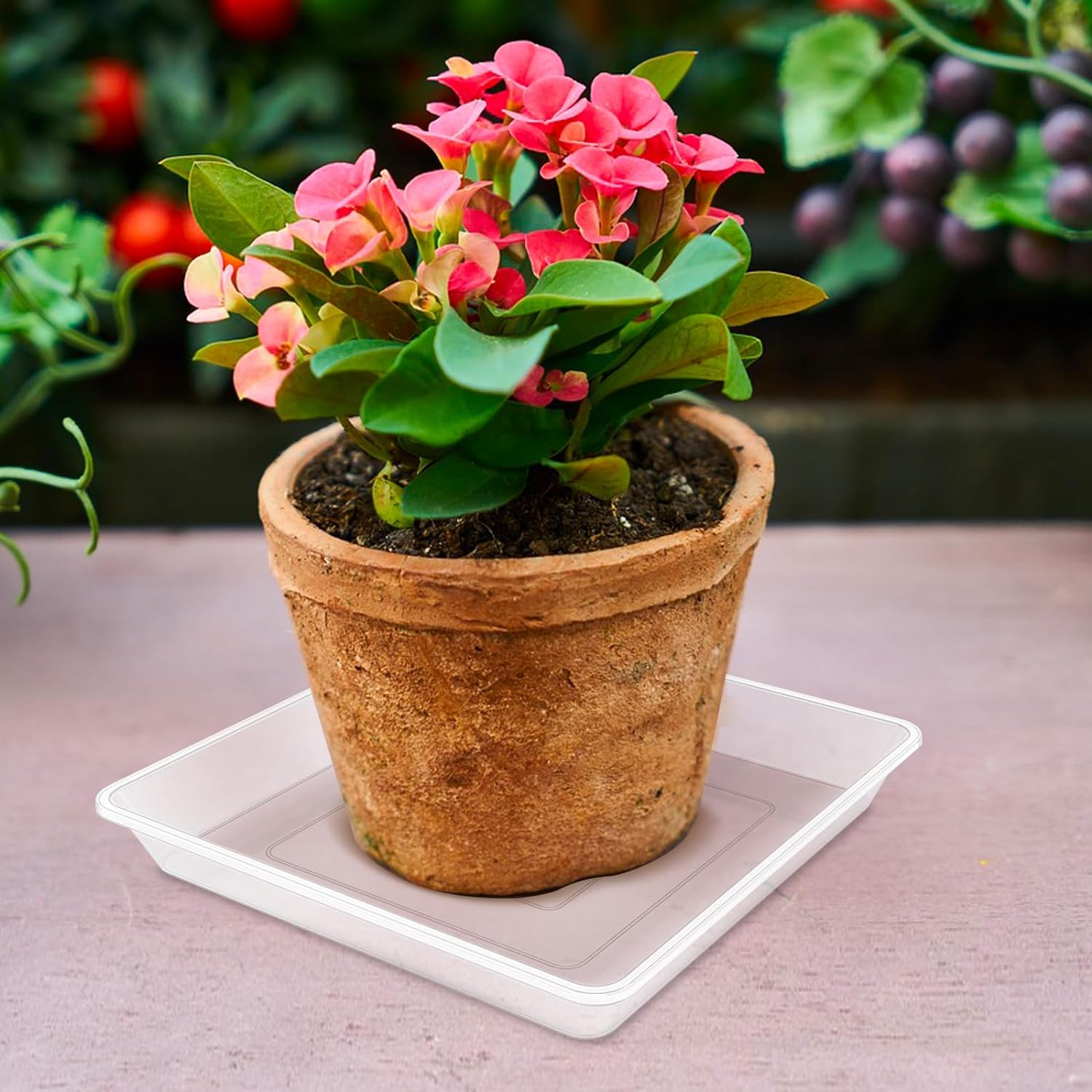 6 Pack 6 Inch Square Clear Plant Saucer, Durable Thick Plant Pot Dish for Flower Pot, Plastic Plant Tray to Catch Water for Indoor Outdoor image number 1