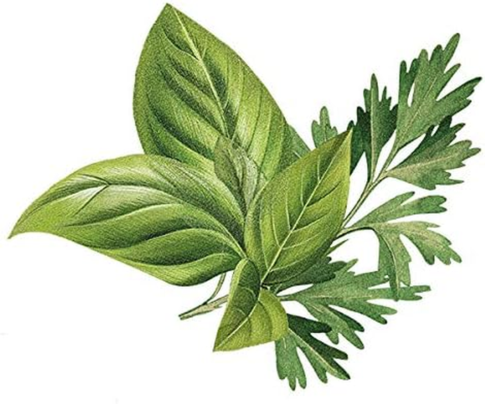 Biotique Bio Basil & Parsley Revitalising Body Soap with Pure Fruit & Vegetable Extracts 150 Gm image number 1