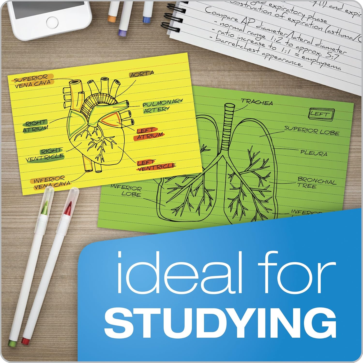 Oxford Glow Index Cards, 3" X 5", Ruled, Assorted Bright Colors, 100/Pack (40279) - 4 X 6 image number 7