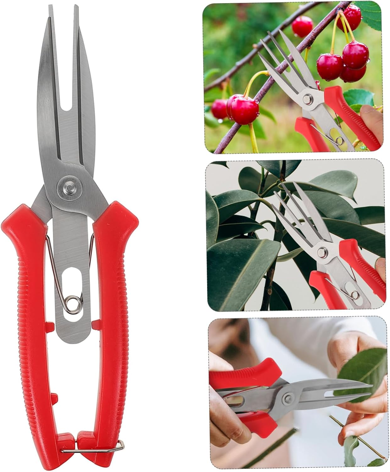 Parliky Pruning Shears for Gardening Pruning Shears Flowers Plants Bonsai Garden Scissors Non-Slip Handle image number 2
