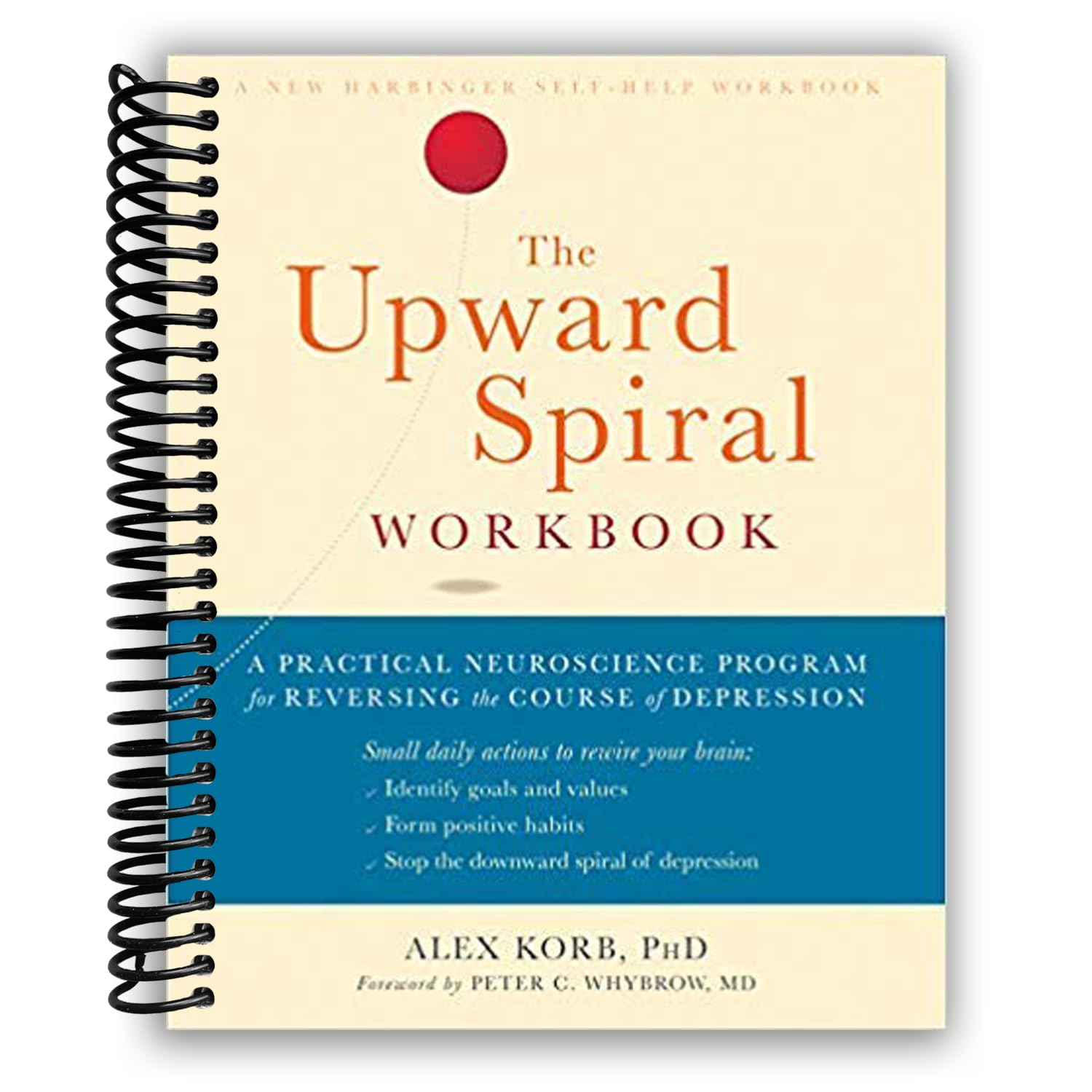The Upward Spiral Workbook: a Practical Neuroscience Program for Reversing the Course of Depression image number 1
