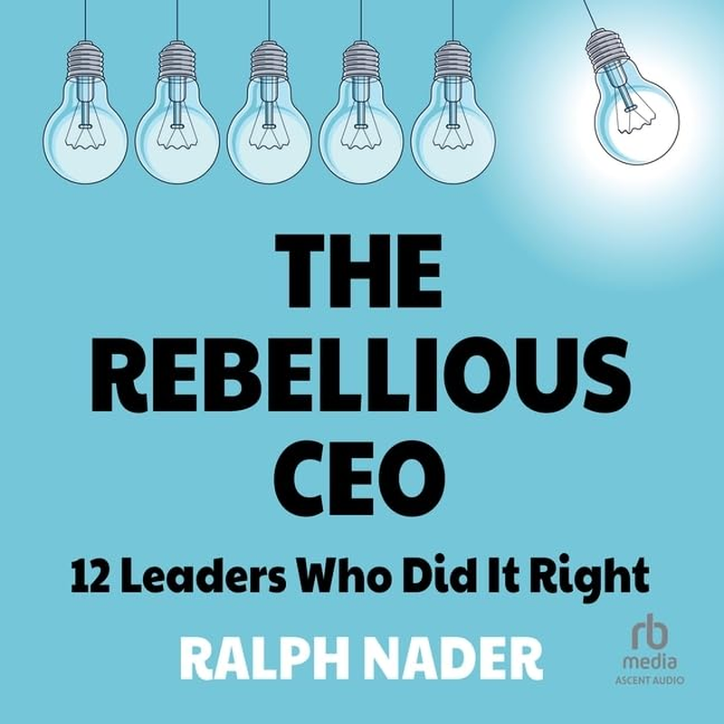 The Rebellious CEO: 12 Leaders Who Did It Right image number 1