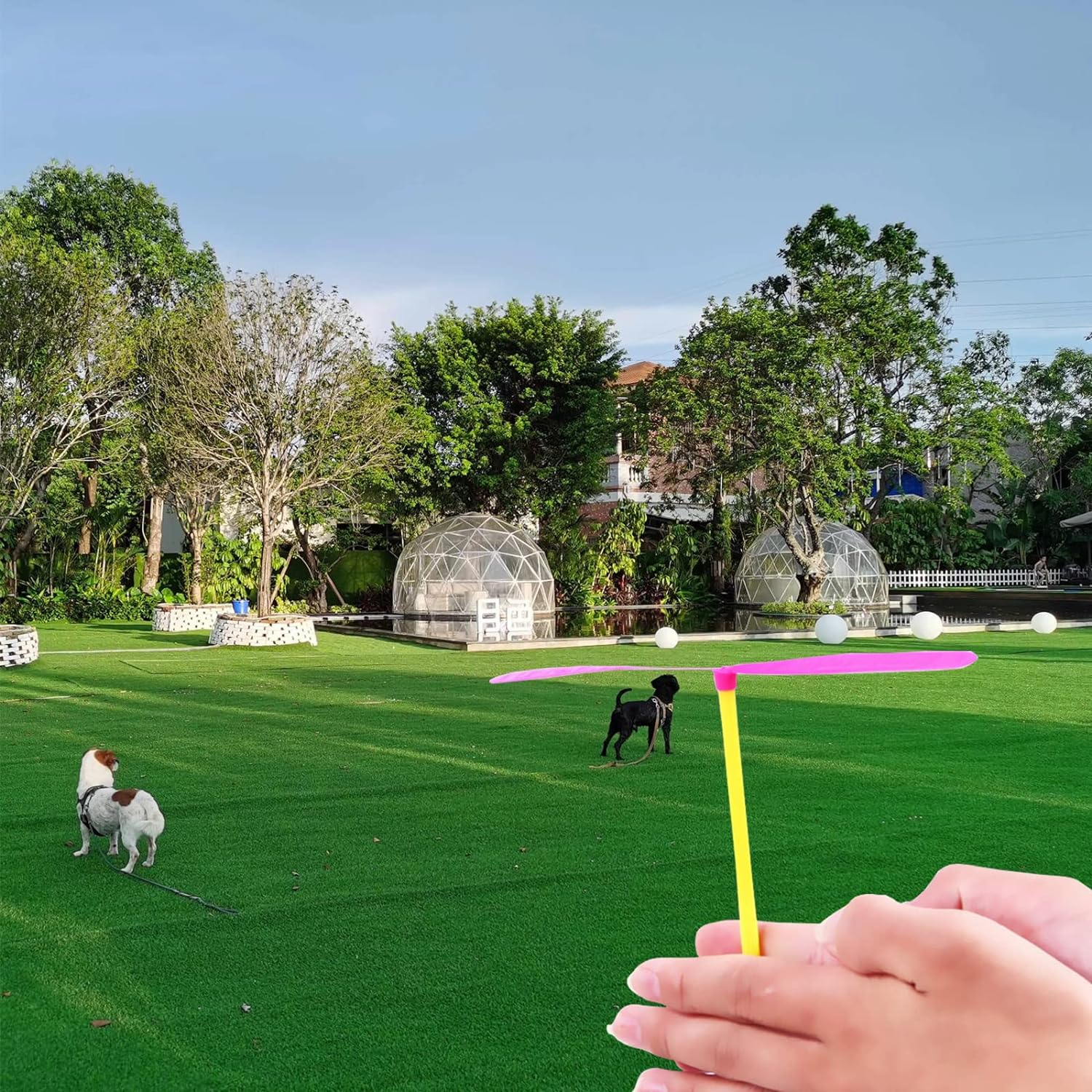 Flying Hand Helicopter Toy - Bamboo Dragonfly Hand Rub Plastic Propeller, Plastic Flying Toys Edu Toy for Outdoor Toy Kids Gift Flying (Random Color) 30 Pieces image number 5