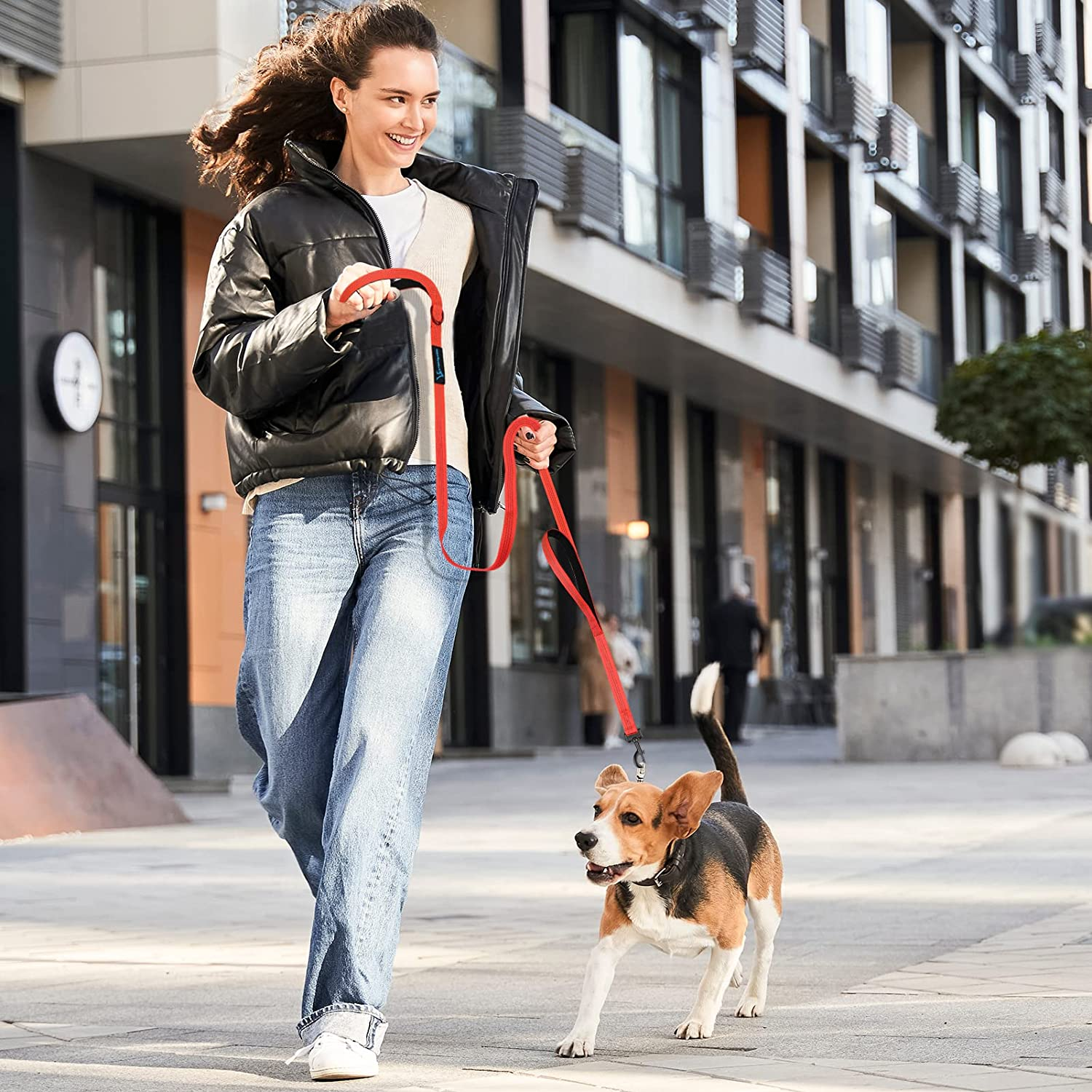 Puppydoggy Dog Leash for Small to Medium Dogs 6 Ft with 3 Reflective Stitching and 2 Traffic Padded Handles Dog Lead/Rope, Pet Leash for Running Walking Training ((6 Ft X 0.6 In) - Pink 1 Pack)