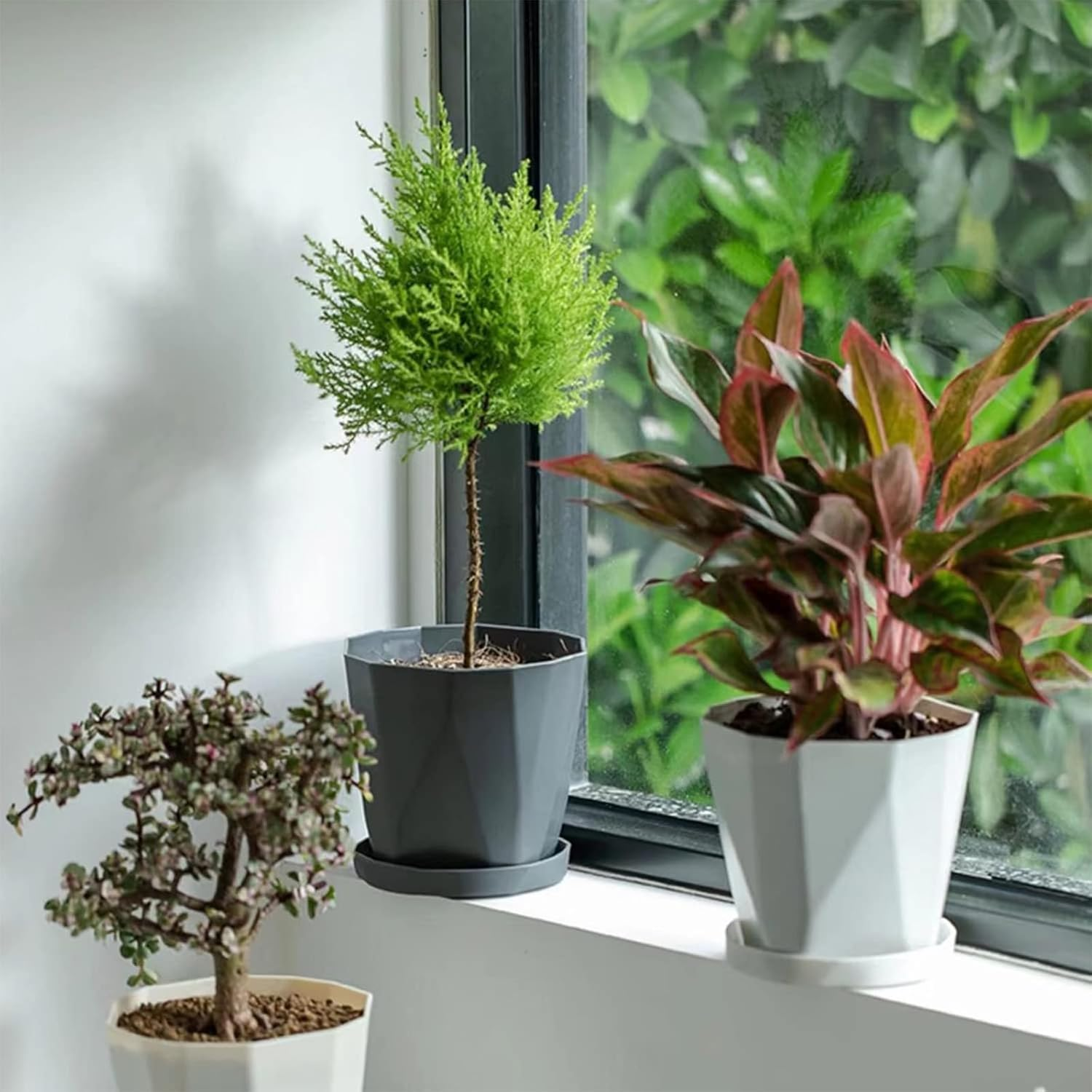 Cozioz Indoor & Outdoor Plant Pots, 12.7 Cm Plastic Flower Pots, Set of 6 with Drainage Holes and Saucers for Garden Use (12.7 Cm - 6 Pcs) image number 3