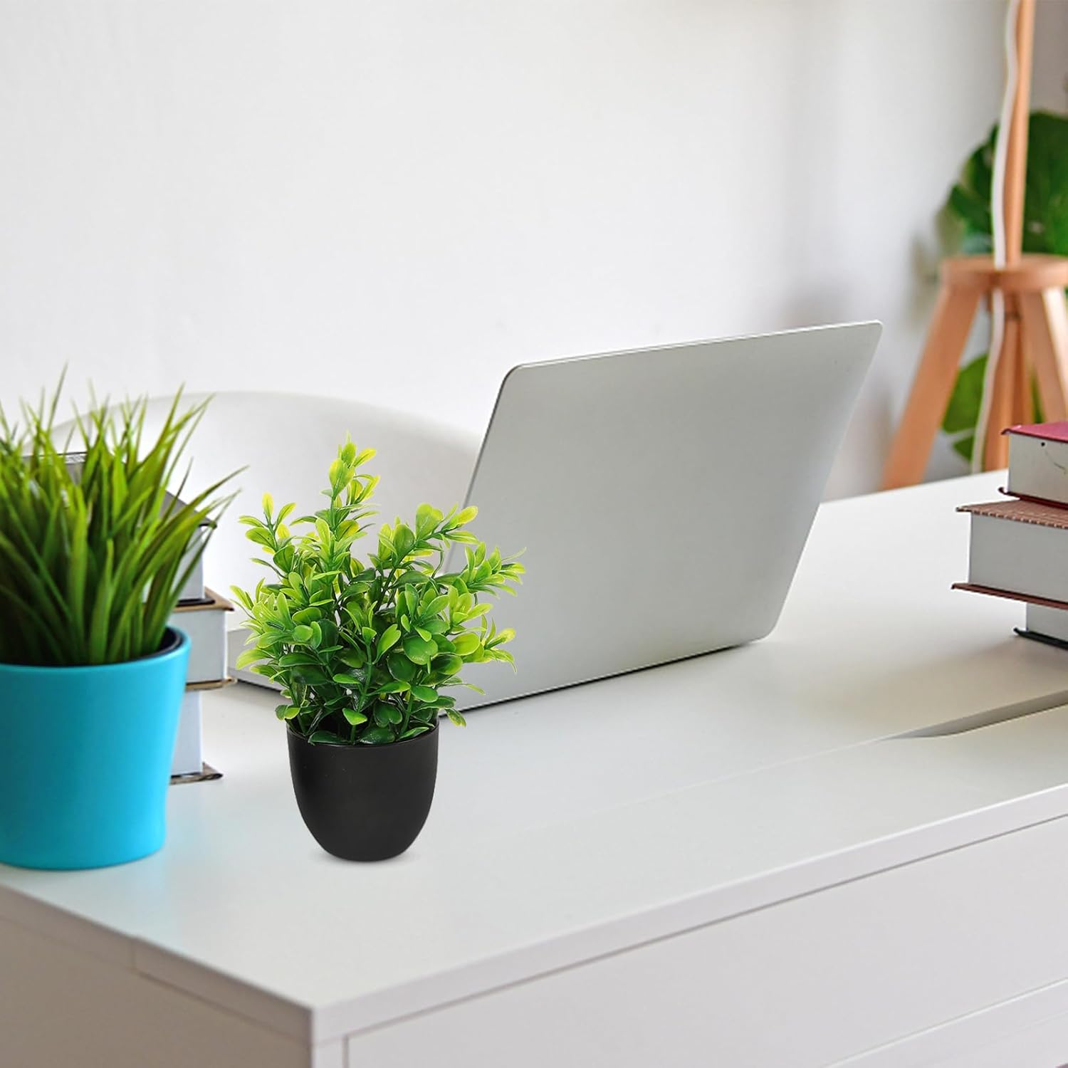 VANZACK 4Pcs Potted Artificial Plastic Plants Mini Faux Plant with Black Pots Faux Succulents Plants Indoor Fake Desk Plant for Home and Office Desktop Decor image number 5