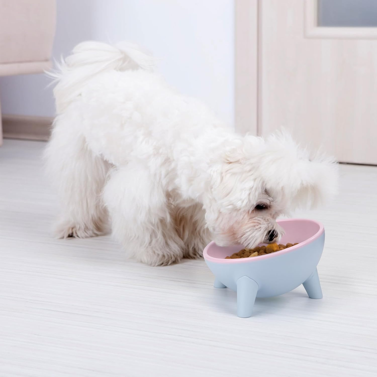 Feeding Bowl for Cats and Dogs 15&deg; Tilting Cat Bowls anti Vomiting Cat Bowl for Small Kittens Dogs