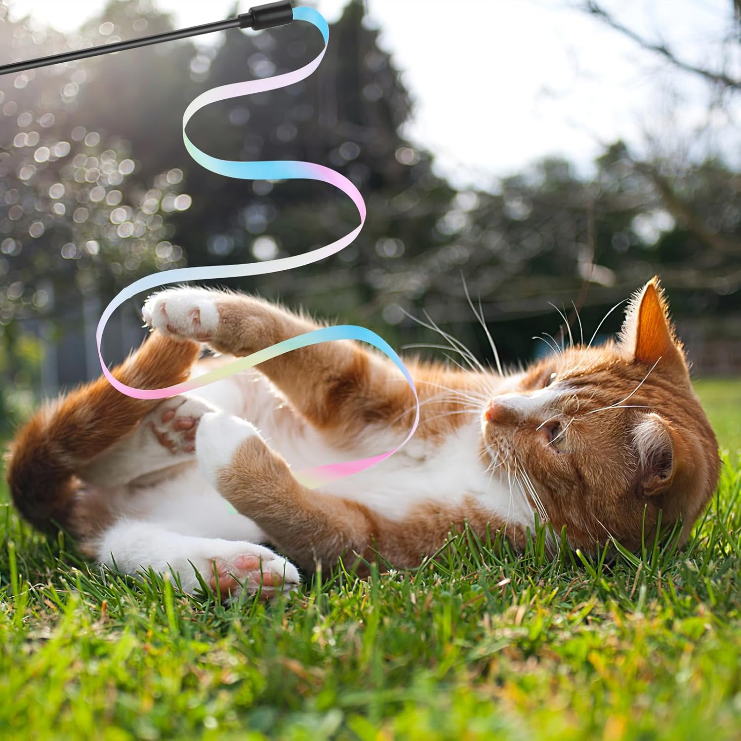 Bewudy Cat Wand Rainbow Toy, 3 Pieces 28 Cm Interactive Cat Wand with 60 Cm Rainbow Ribbon Cord Interactive Rainbow Band Wand for Kittens Cats Training