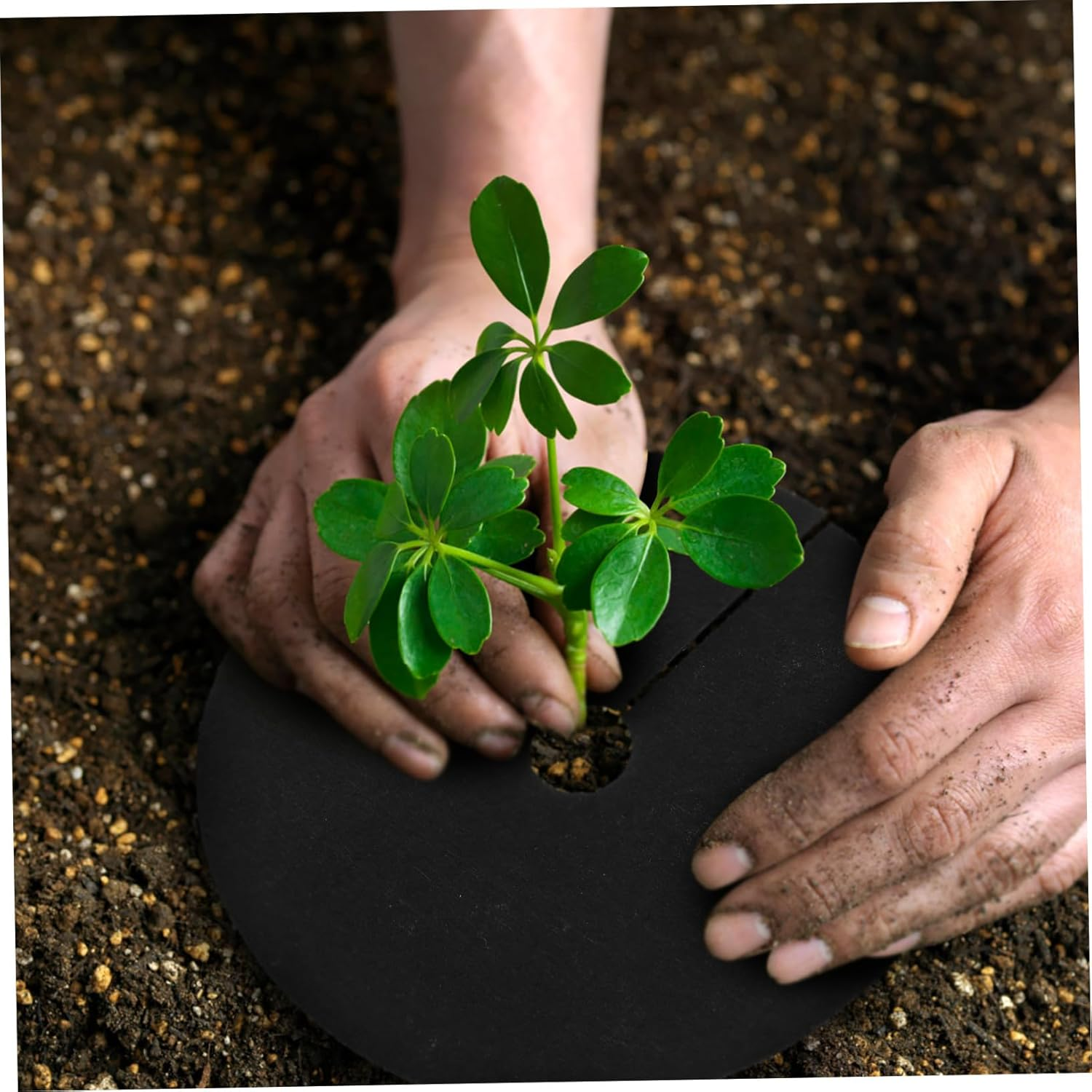 Kisangel 20Pcs round Grass Fabrics Non-Woven Cloth Weed Control Cloth Tree Ring Control Ring for Gardening Ground Protector Outdoor Cover image number 1