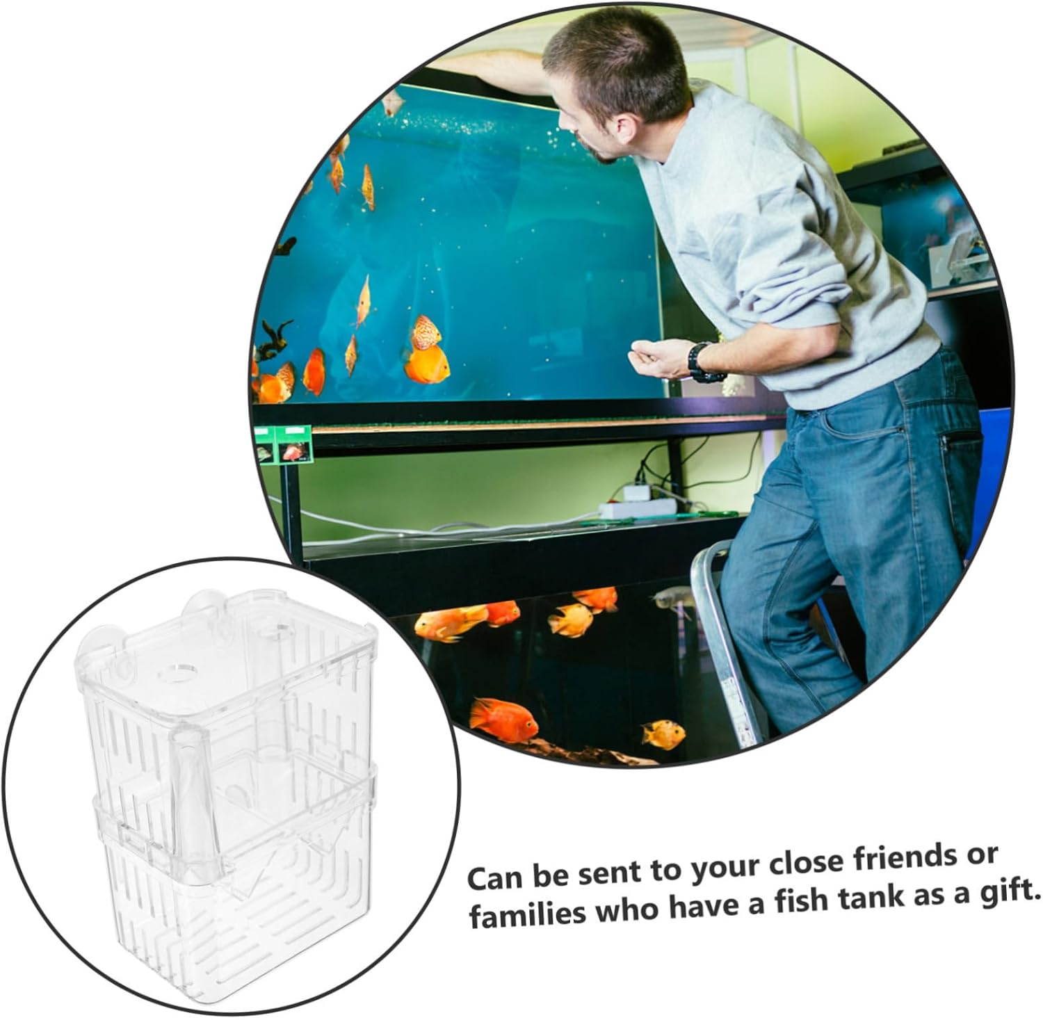 2Pcs Fish Breeding Isolation Box Double-Layer Aquarium Hatchery Container Large Size with Suction Cup for Fry Rearing and Fish Tank Separation in Aquatic Pet Breeding Random Color image number 3