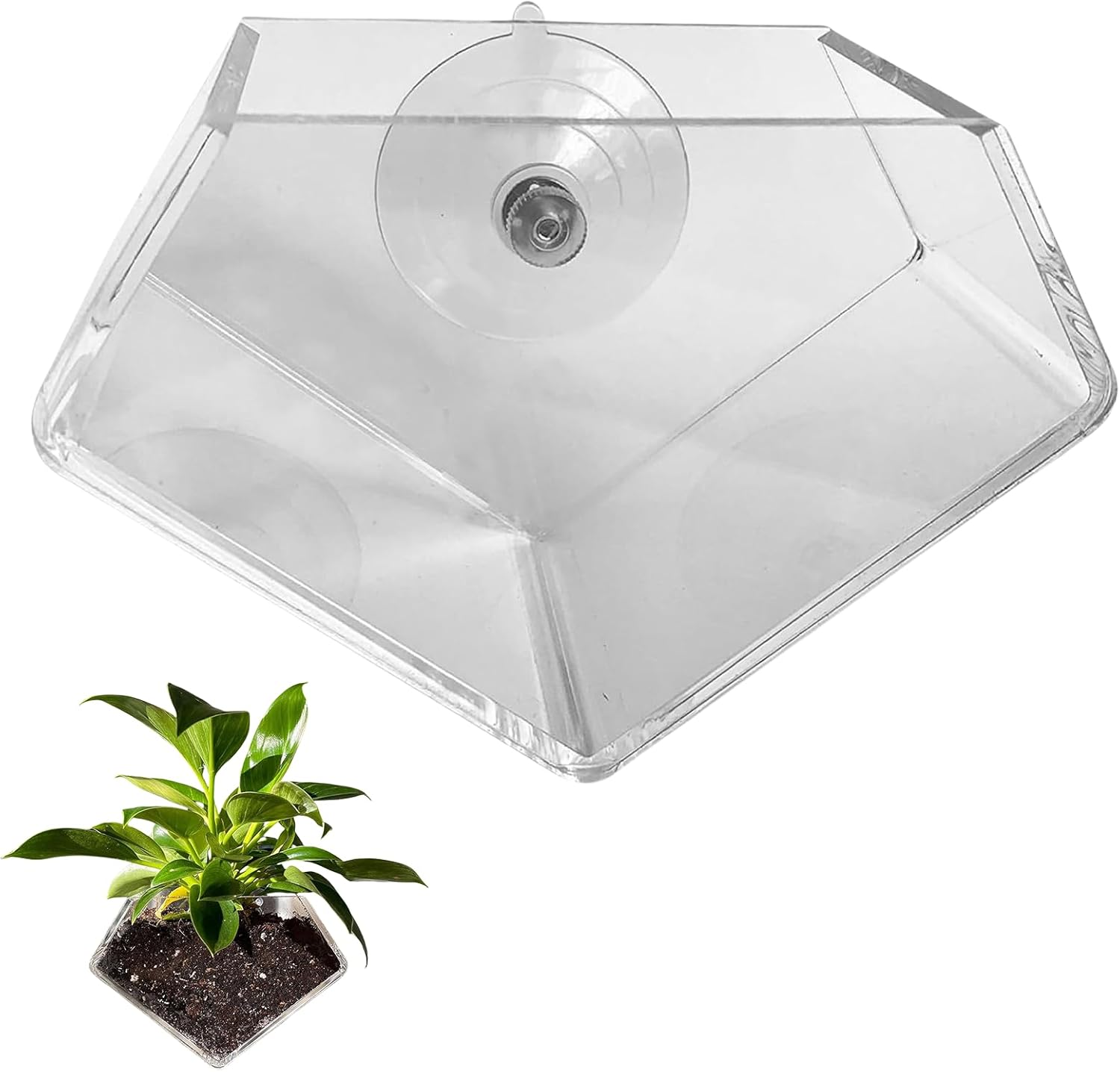 Acrylic Window Planter - Herb Garden - Ideal for Home Gardening Transparent Suction Cup Pot for Succulents, Herbs, and Indoor Gardens image number 3