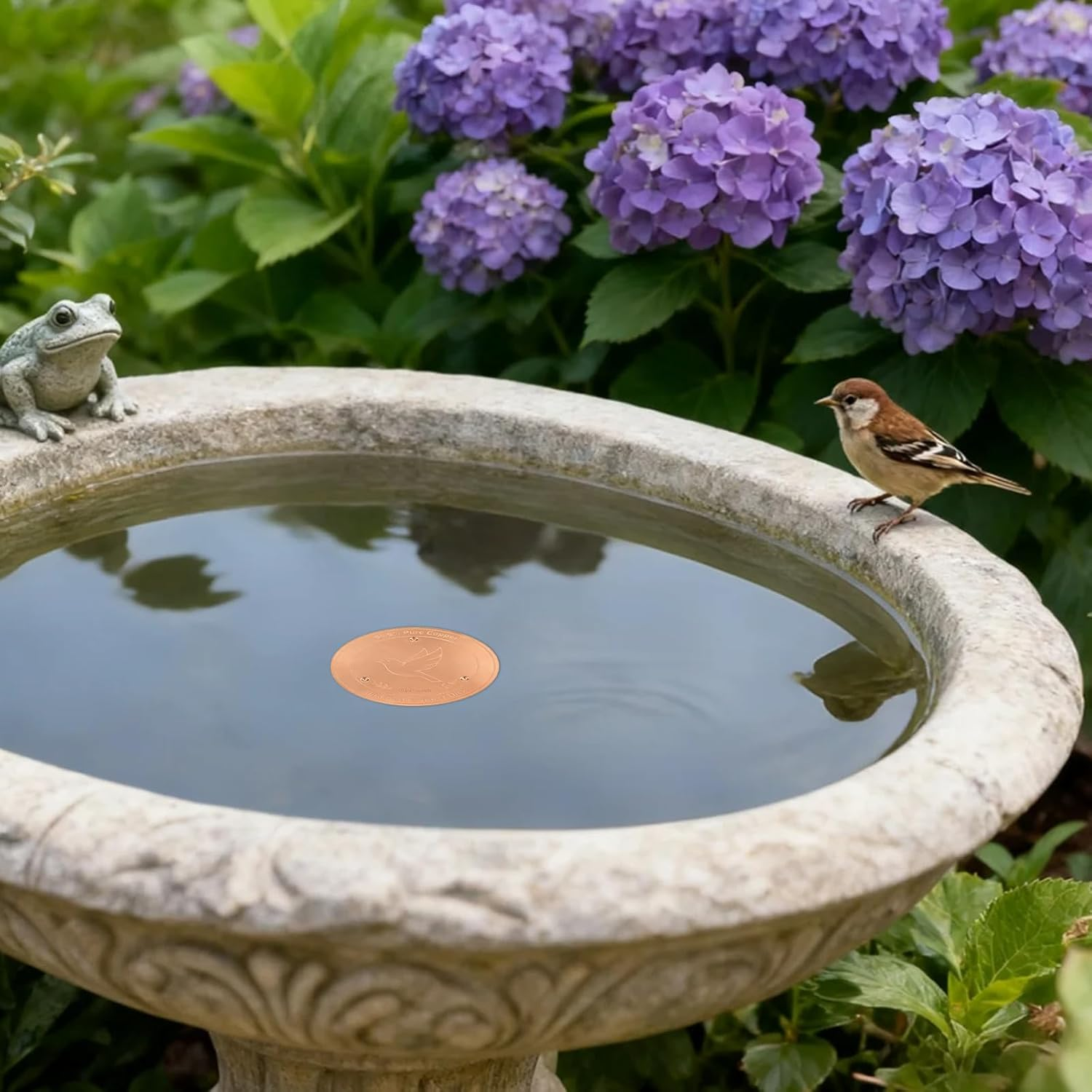 2Pcs Bird Bath Cooper Disks, 99.9% Pure Copper Purification Disk Universal Fit for Outdoor Bird Baths & Fountains Naturally Keeps Water Clean image number 3