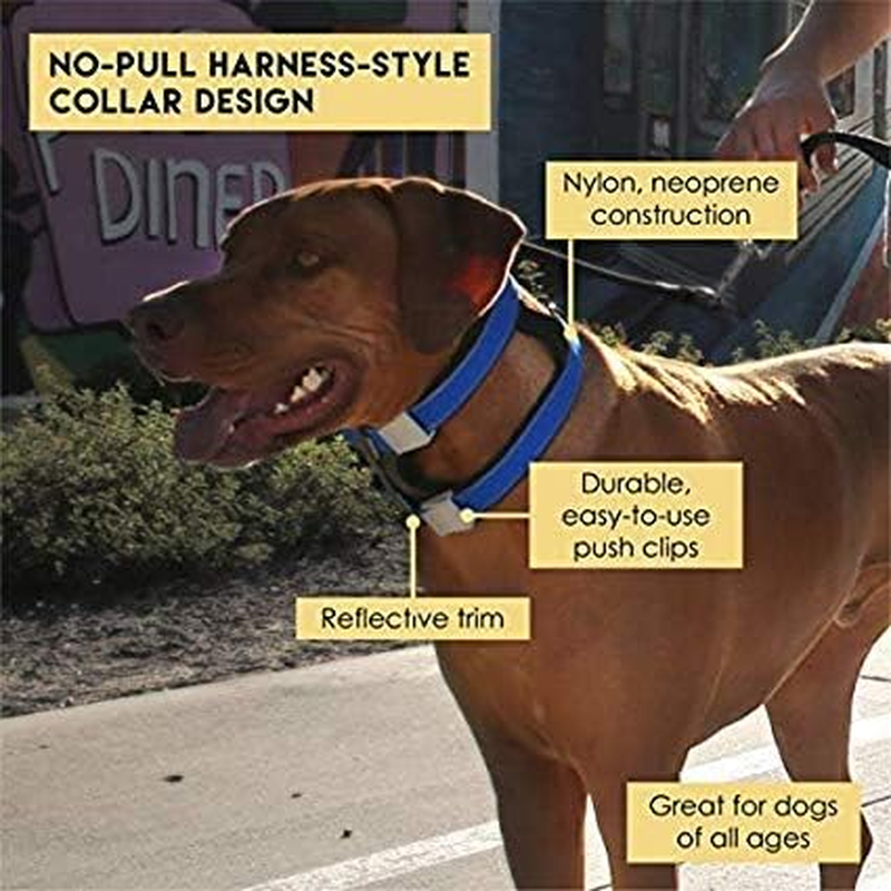 Cesar Millan Pack Leader Collar&trade; - Training Collar of the Dog Whisperer (Large, Grey) image number 5