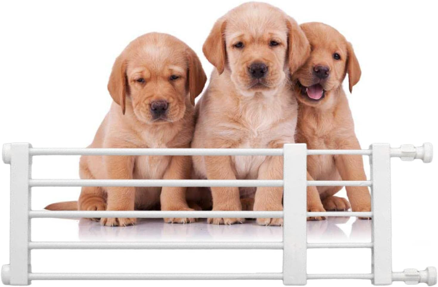 Geugecy Gates for Dogs Indoor, Short Dog Gate, Pet Safety Gate, Easy Installation Gate, Low Safety Retractable Gate for Puppies and Pets, Retractable Wide Child Safety Low Pet Gates image number 1