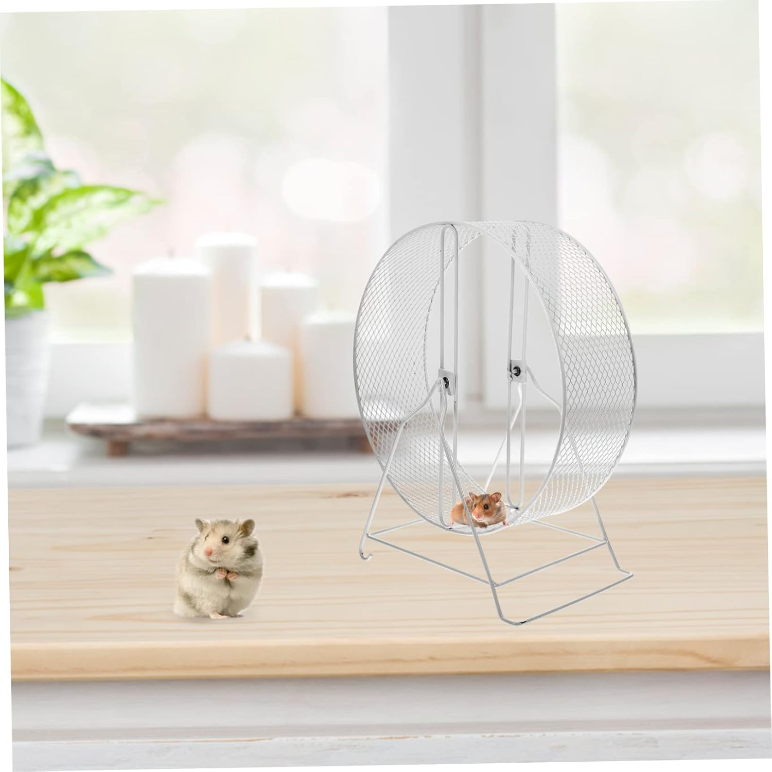 DOITOOL Squirrel Playing Wheel Funny Hamster Wheel for Exercise and Entertainment Sturdy Quiet Design 8 Inch Suits Chinchilla Rat Hedgehog Cage Accessories for Indoor Play image number 6