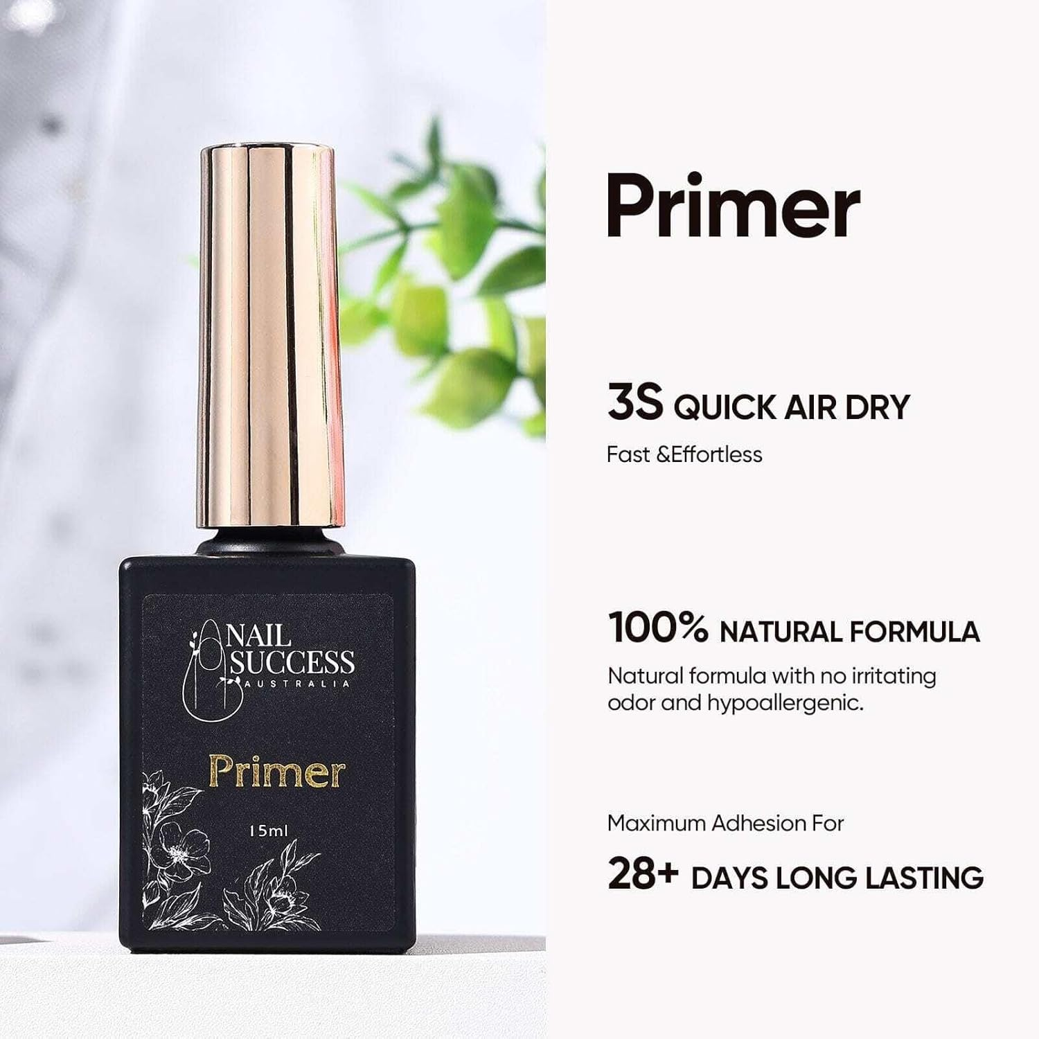 Primer Primer image number 1