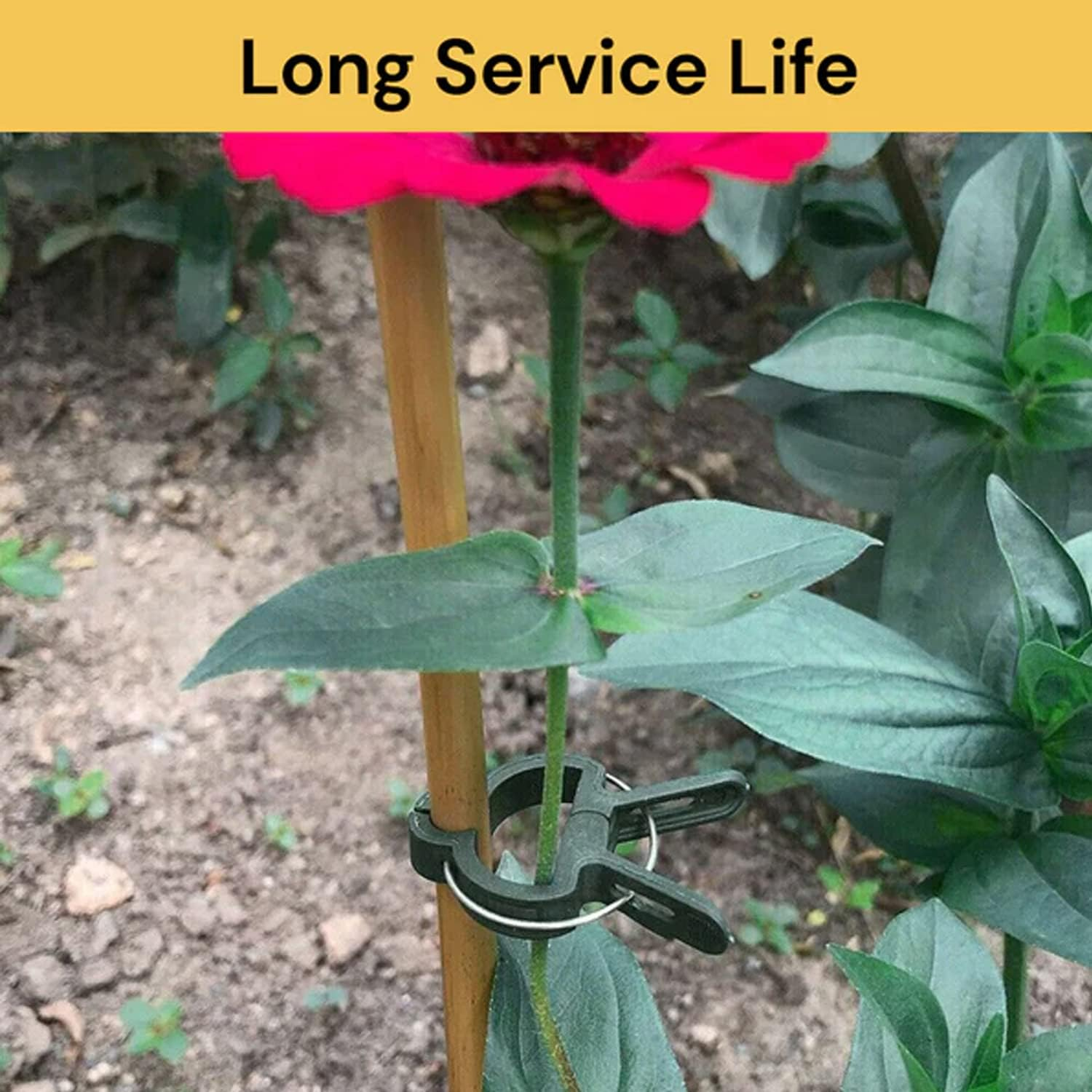 EZONEDEAL Plant Ties Reusable Garden Tape with 20Pcs Plant Clips Reusable Adjustable Thicker Support for Growing Strong Grip Gentle Plant & Flower Clips for Supporting Stems image number 4