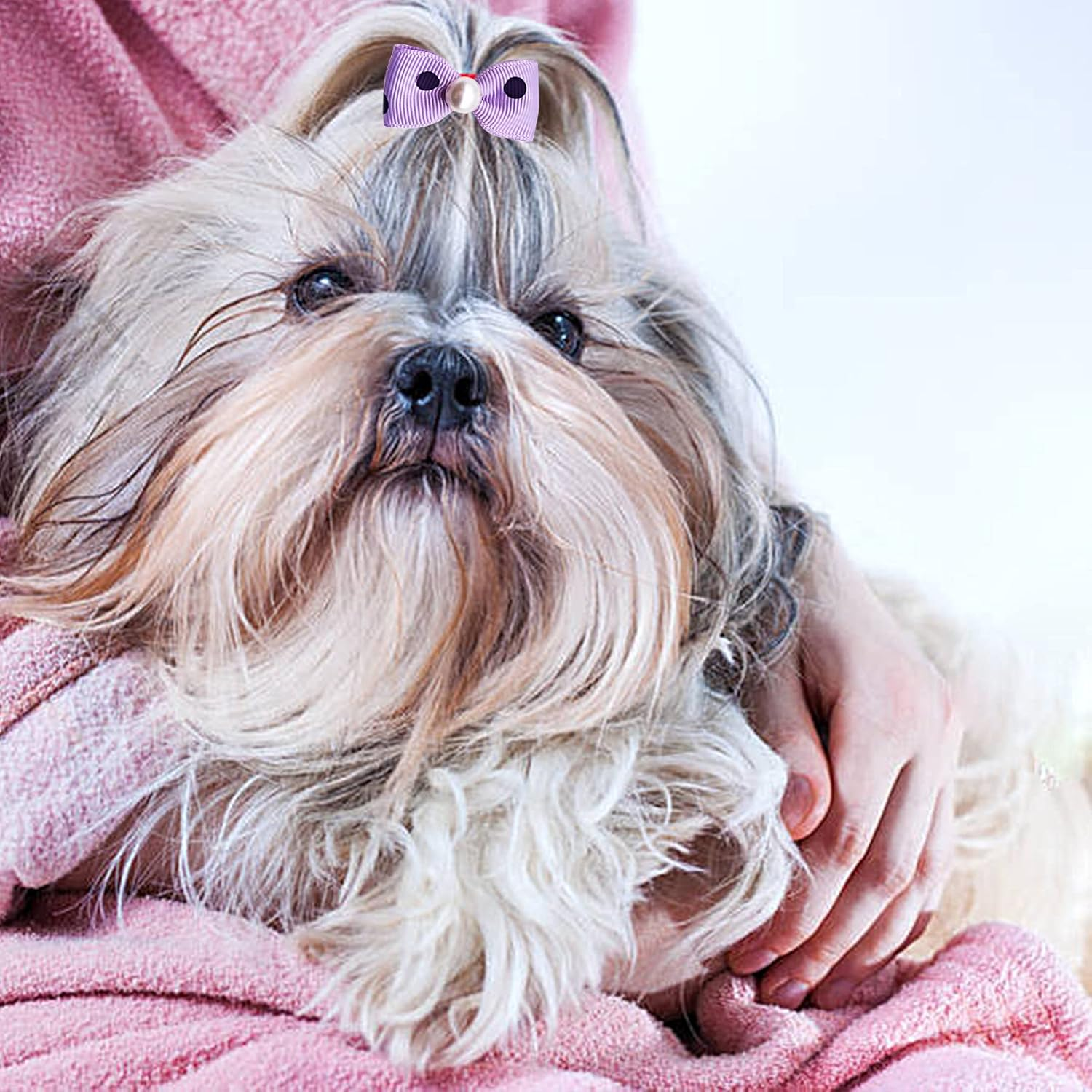 30PCS/15PAIRS Purple Dog Hair Bows with Rubber Bands Puppy Hair Bowknot Top Knot Elastic for Girl Female Doggy Cat Rabbit Poodle Pet Animal Grooming Accessories Attachment&hellip; - Blue image number 5