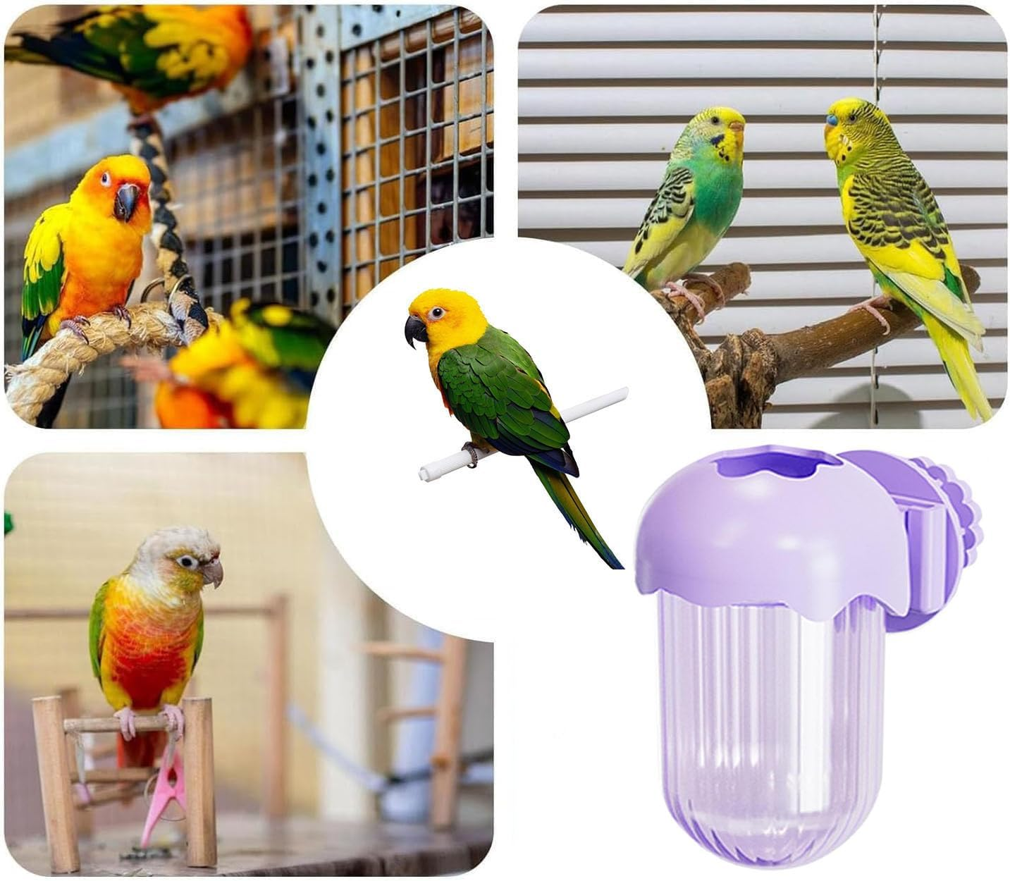Limcryspp Bird Food Plate Cage, Bird Feeding Cup, Water and Food Container Clamp, Feeding Bowl Macaw Finch, Budgerigar, Parrot(A) image number 2